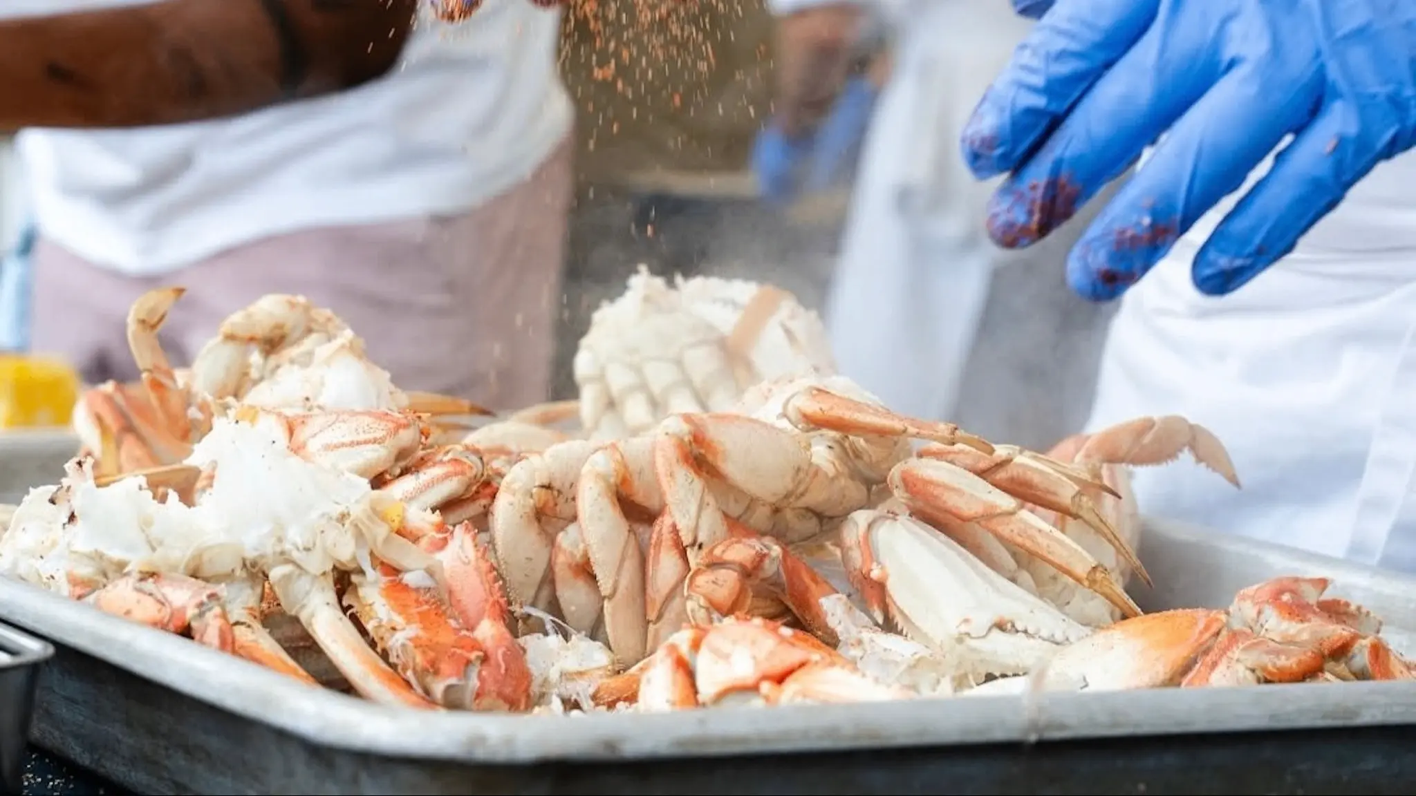 Blue-gloved hands sprinkling seasoning over cooked crabs in a metal tray.