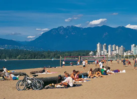 photo: View the Vibe