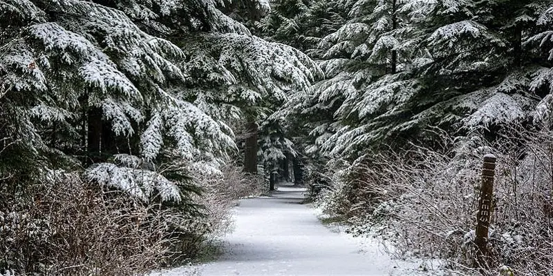 winter solstice