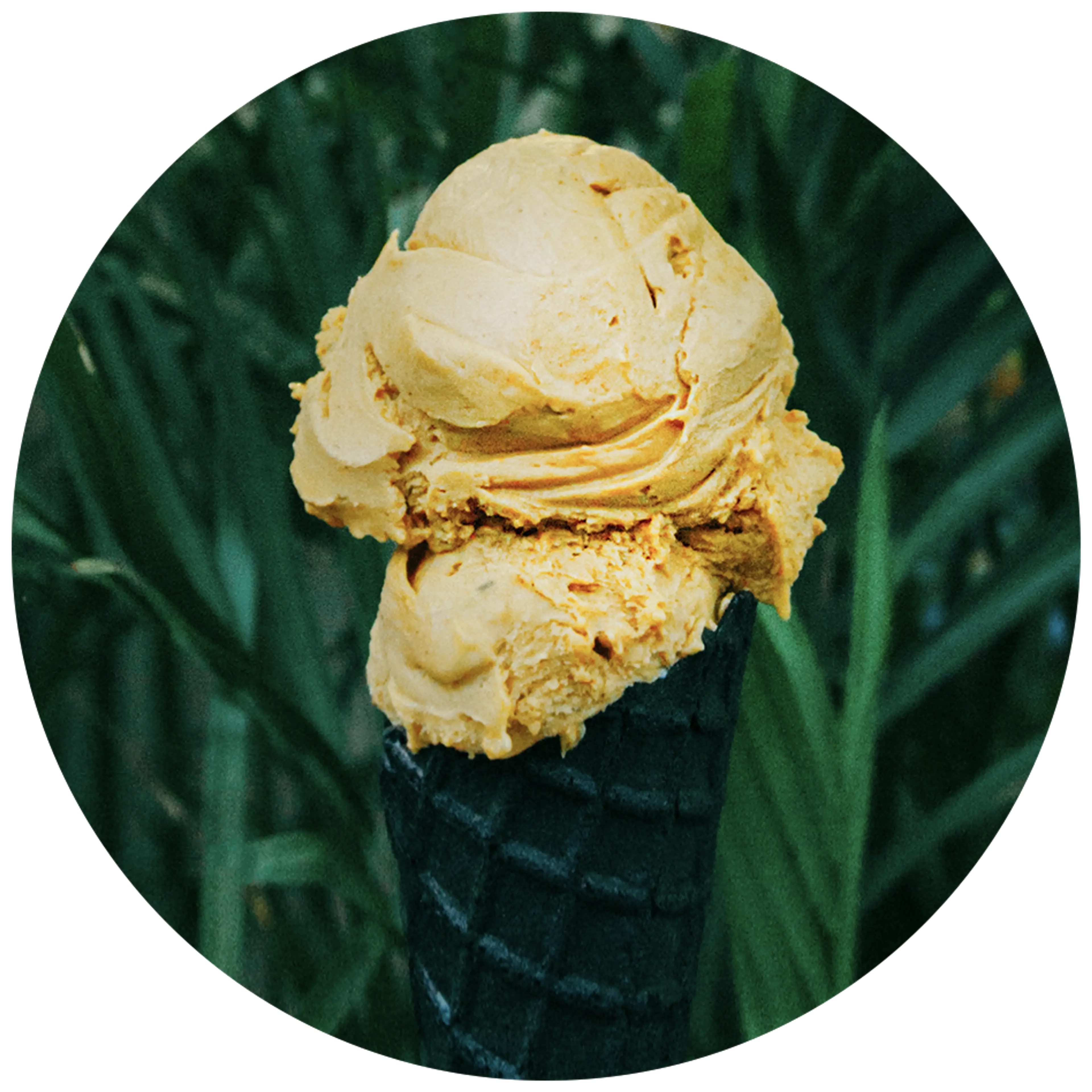 Umaluma pumpkin spice vegan gelato