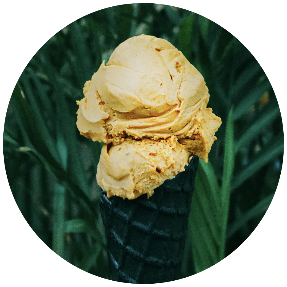 Umaluma pumpkin spice vegan gelato