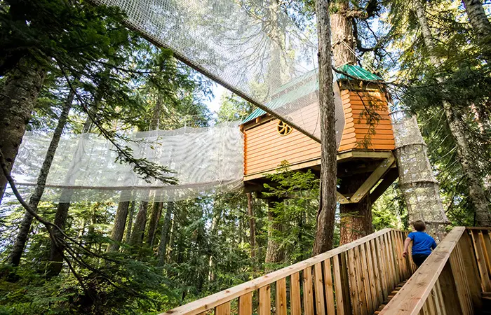 Kids Canopy Adventure at Grouse Mountain