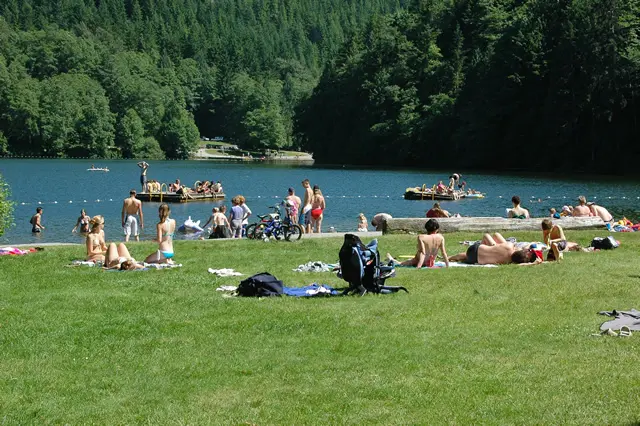 Picnicking on the grass at Alice Lake Provincial Park