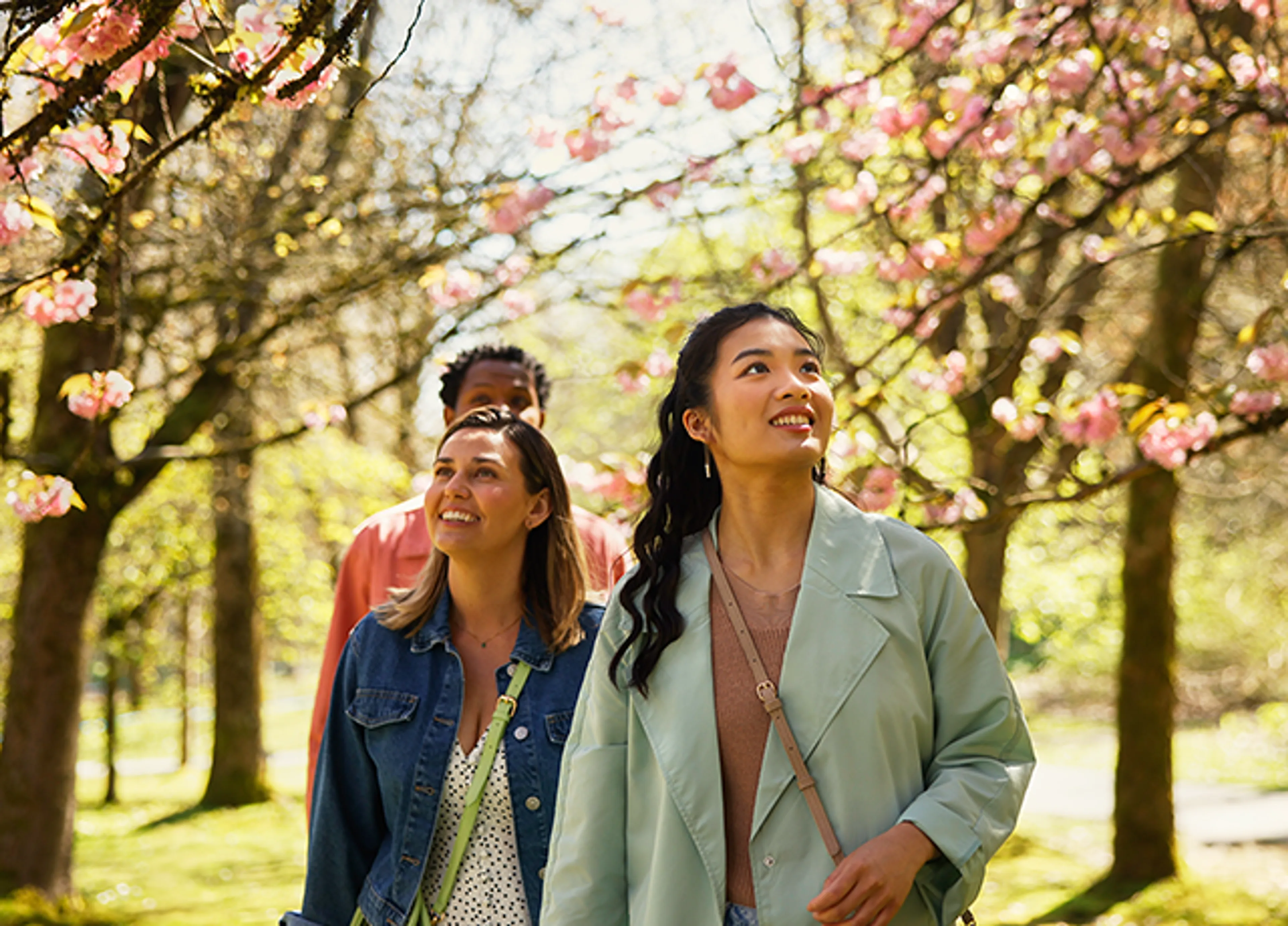 Destination Vancouver image