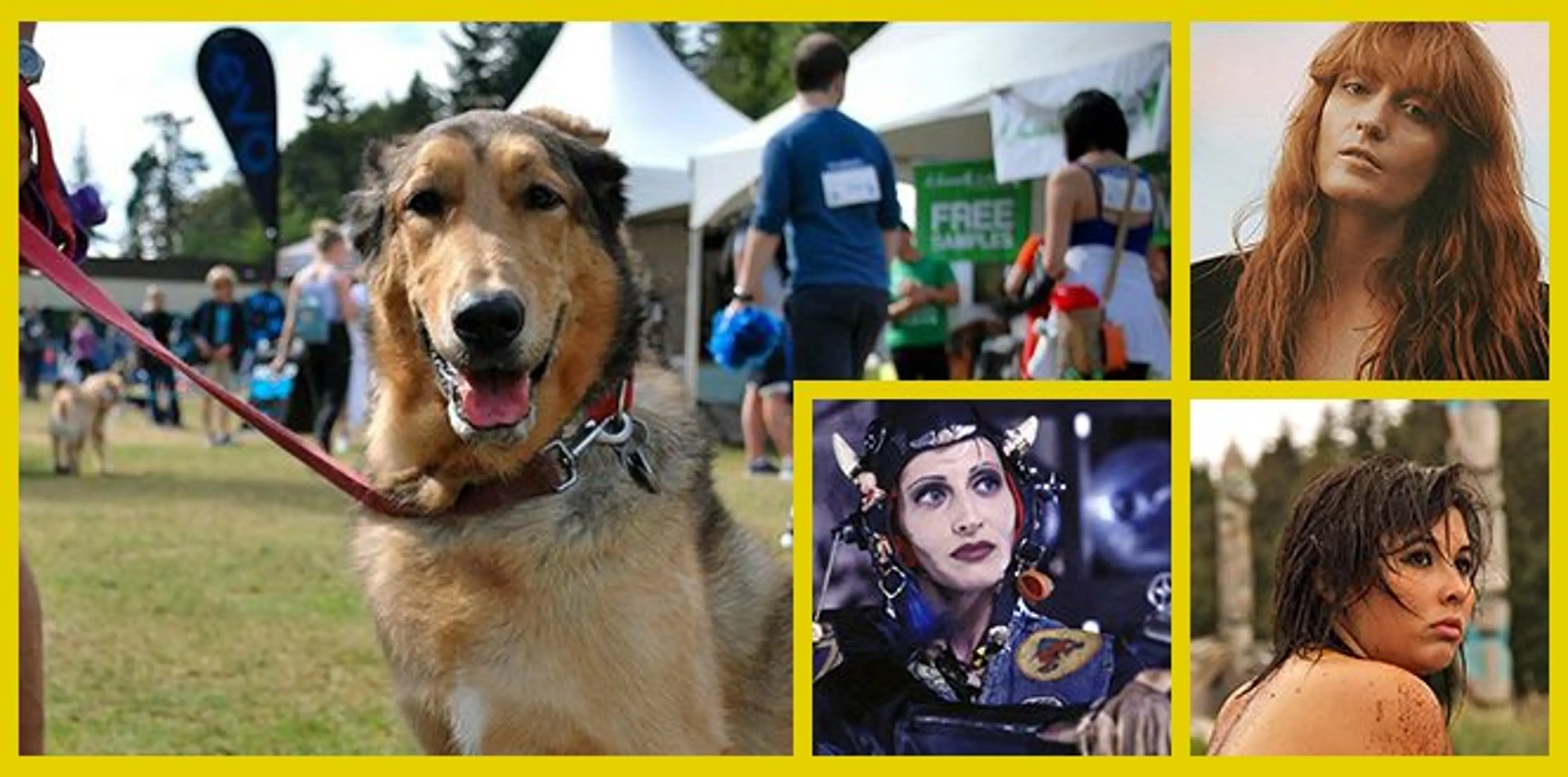 Things to Do in Vancouver This Weekend
