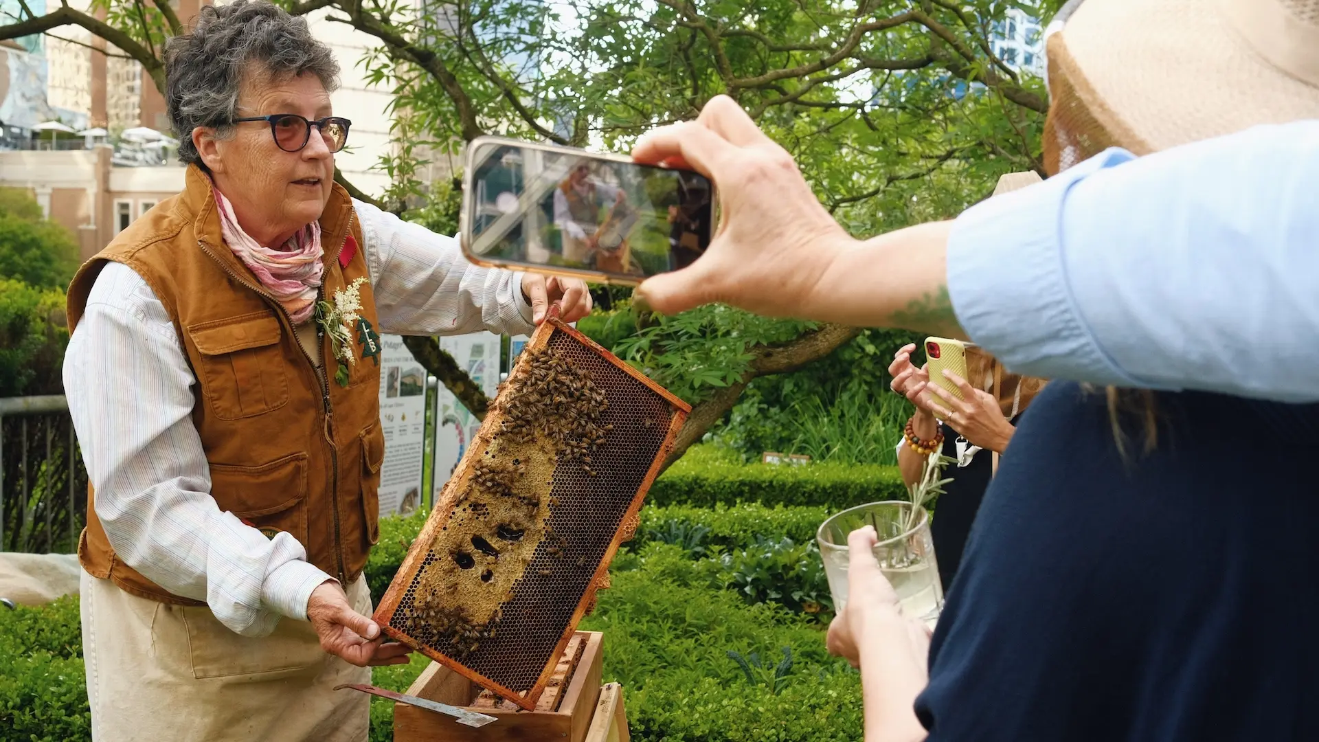 Fairmont Waterfront | Chief Beekeeper Julia Common | Vancouver, BC