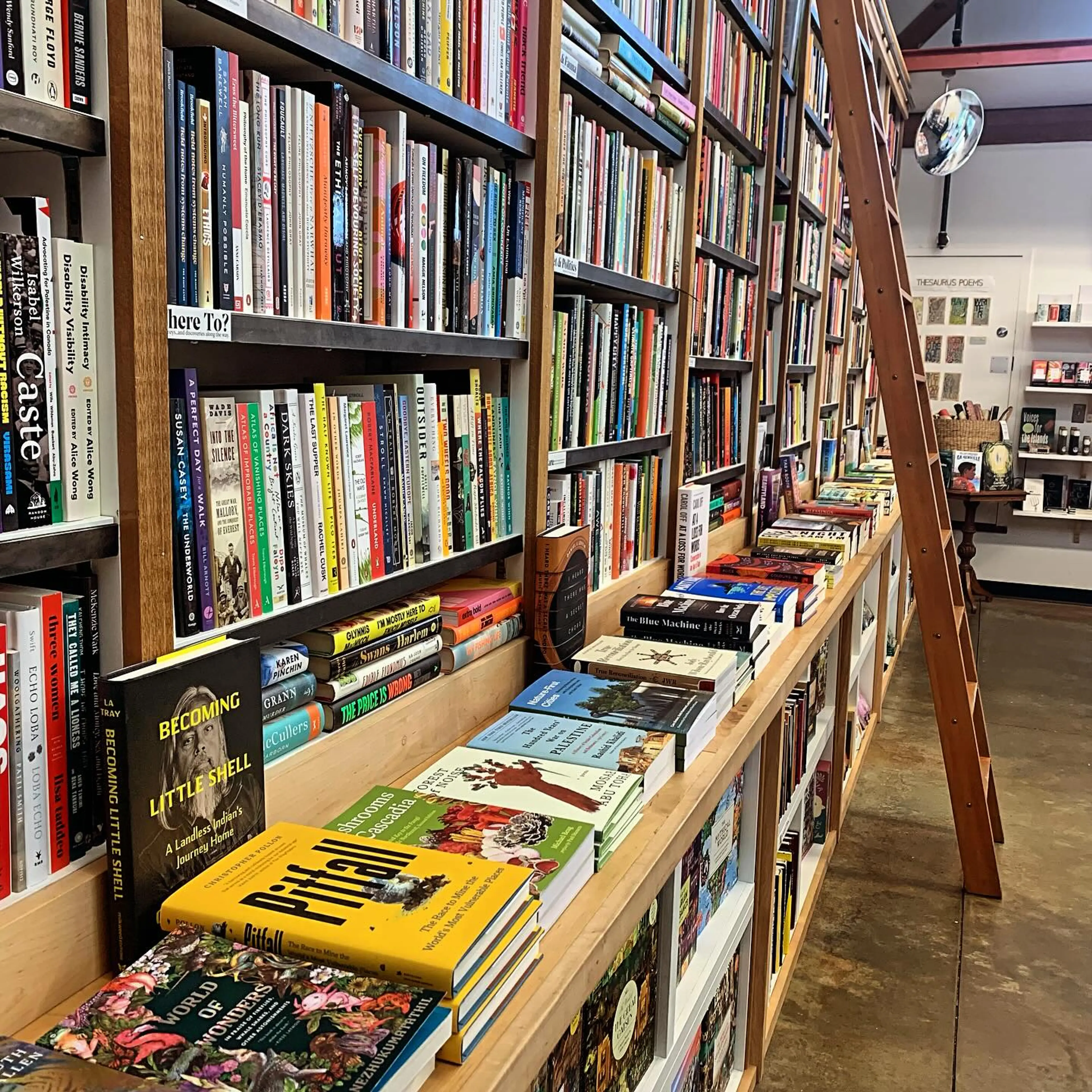 The interior of Upstart and Crow book store in Vancouver. Bookshelves cover a wall with a ladder leaning against it. 