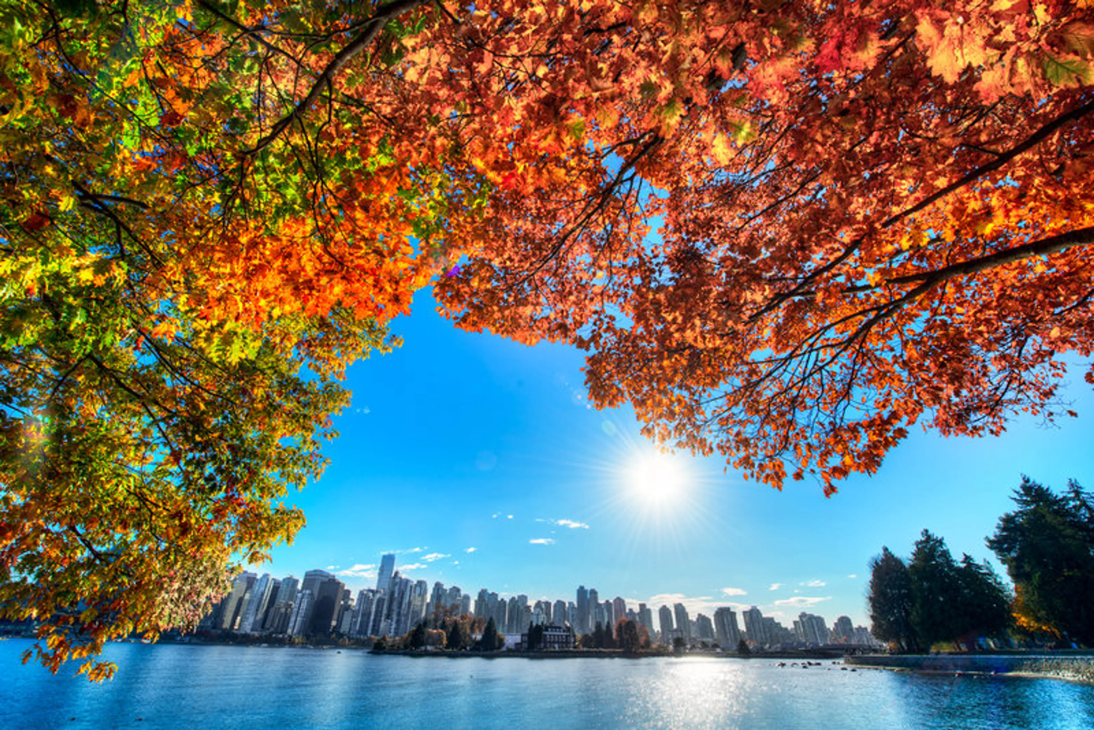 A Vancouver Newcomer’s Observations Vol 4: Falling Forever