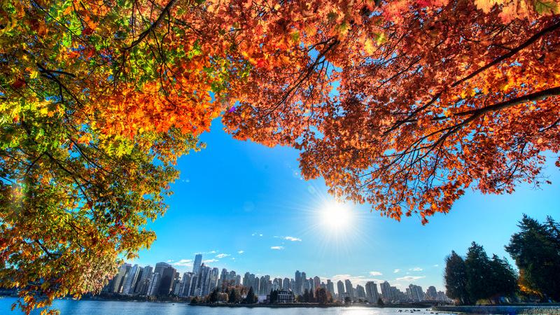 A Vancouver Newcomer’s Observations Vol 4: Falling Forever