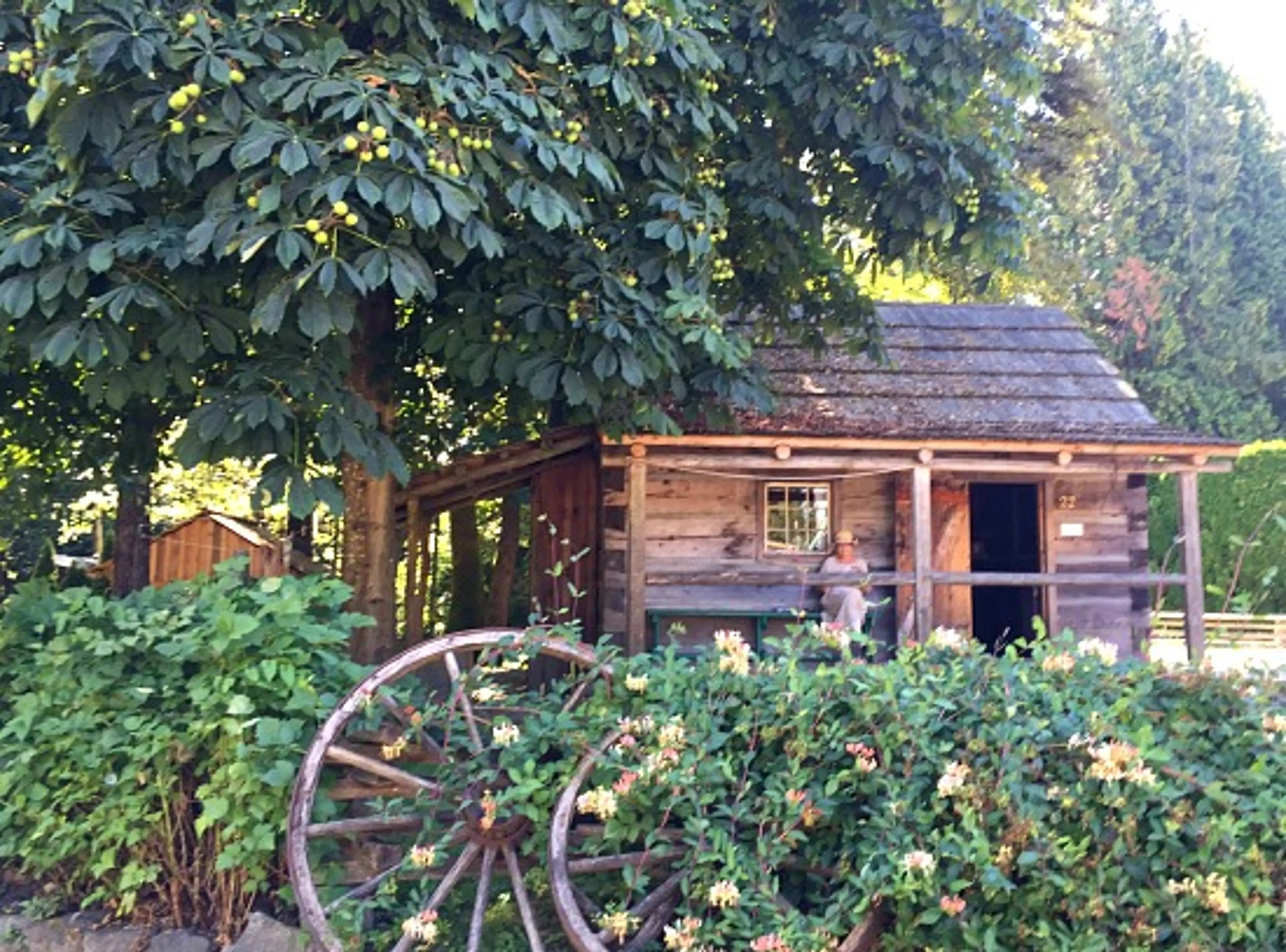 Burnaby Village Cabin