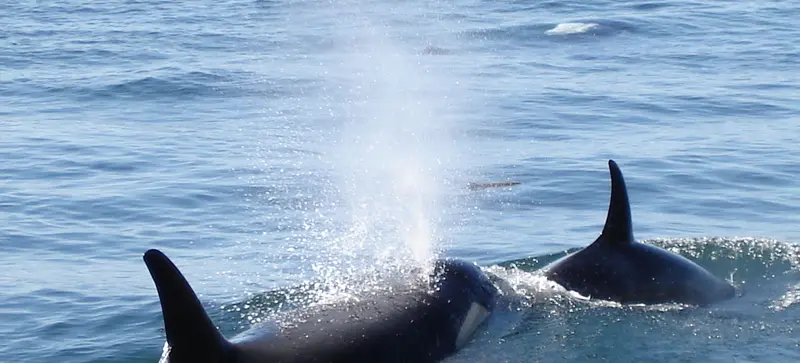 Gulf Islands National Park Reserve - image2