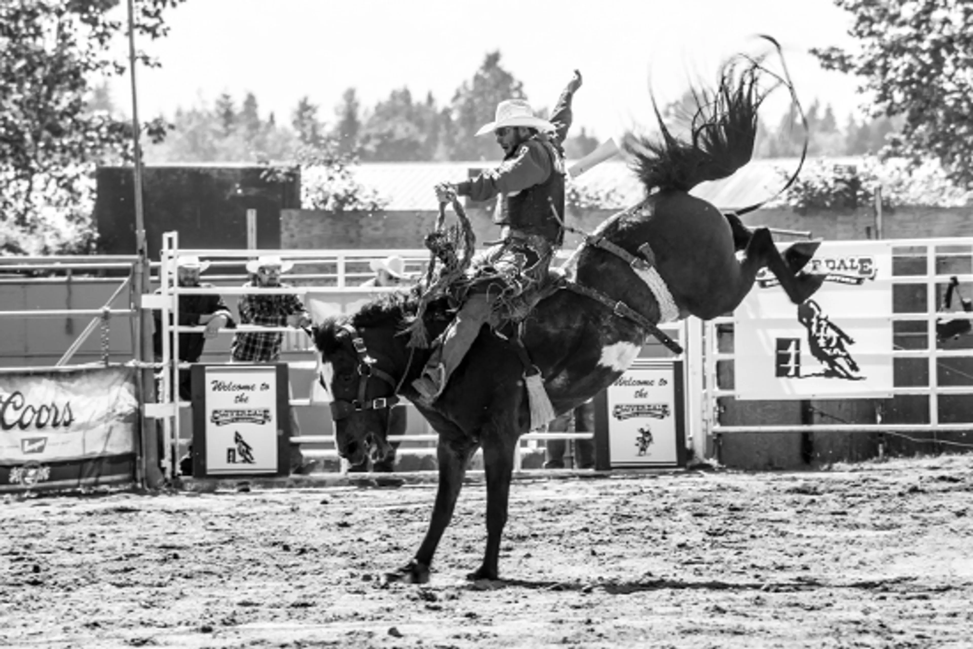 Black and White cowboy on horse