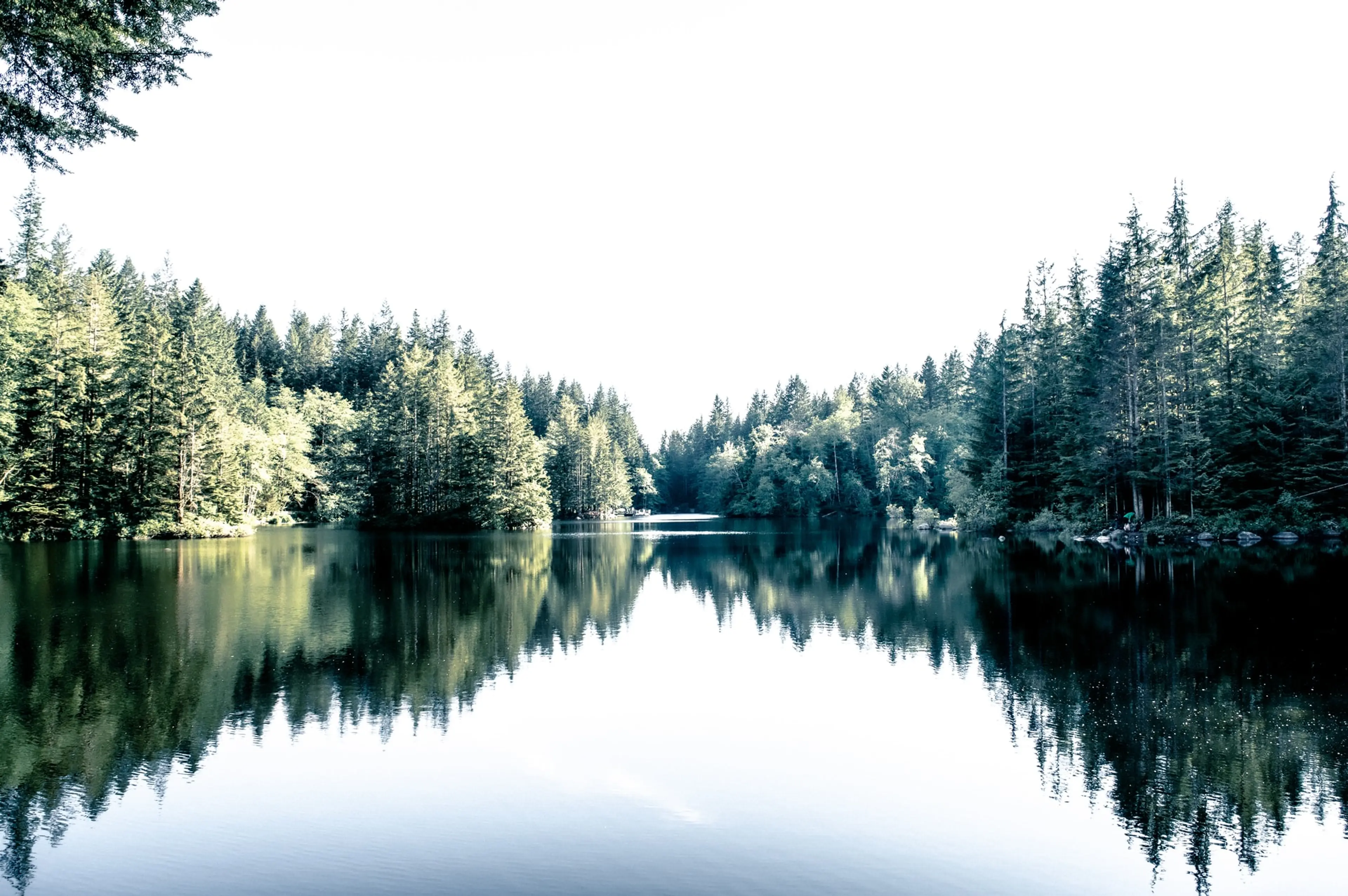 Rice Lake in North Vancouver