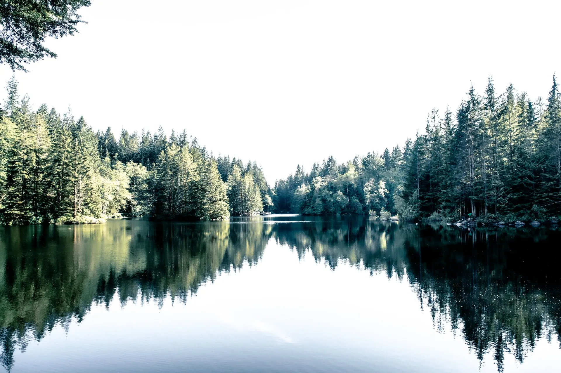 Rice Lake in North Vancouver