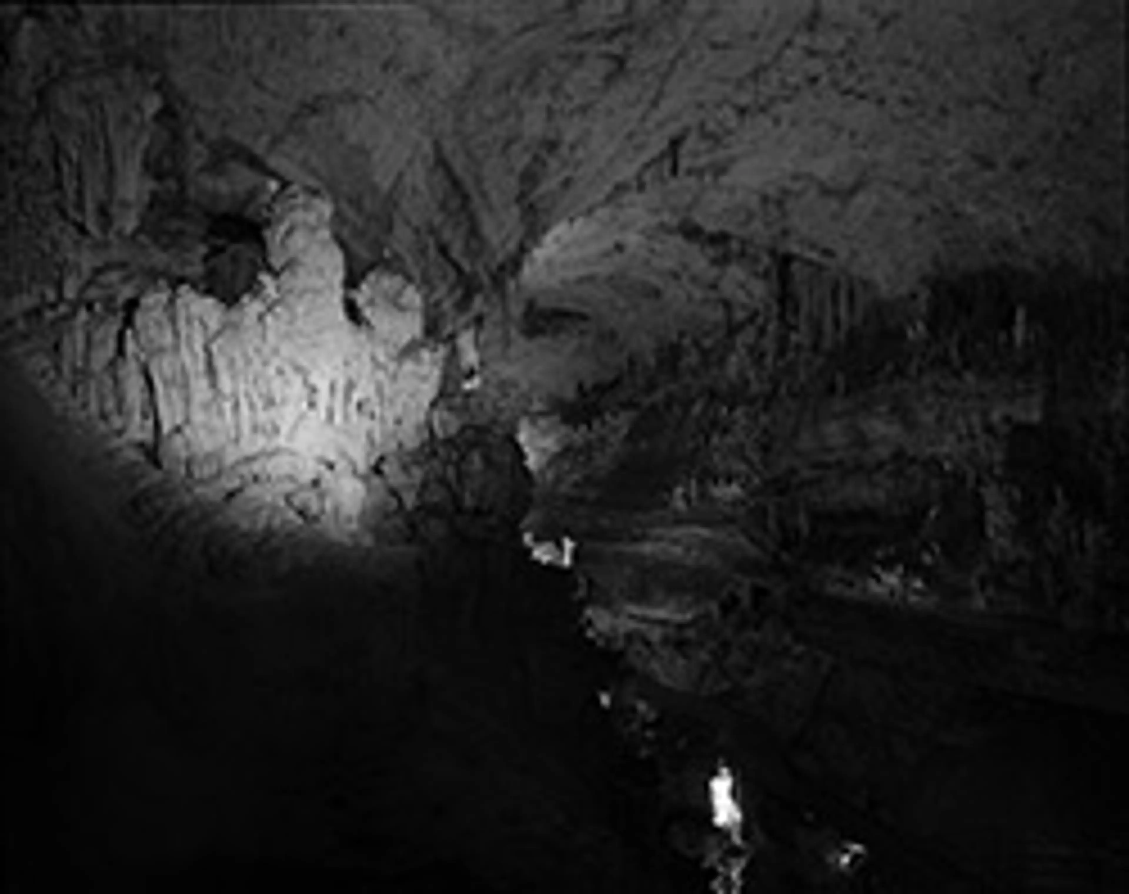 Stephen Waddell: Dark Matter Atlas