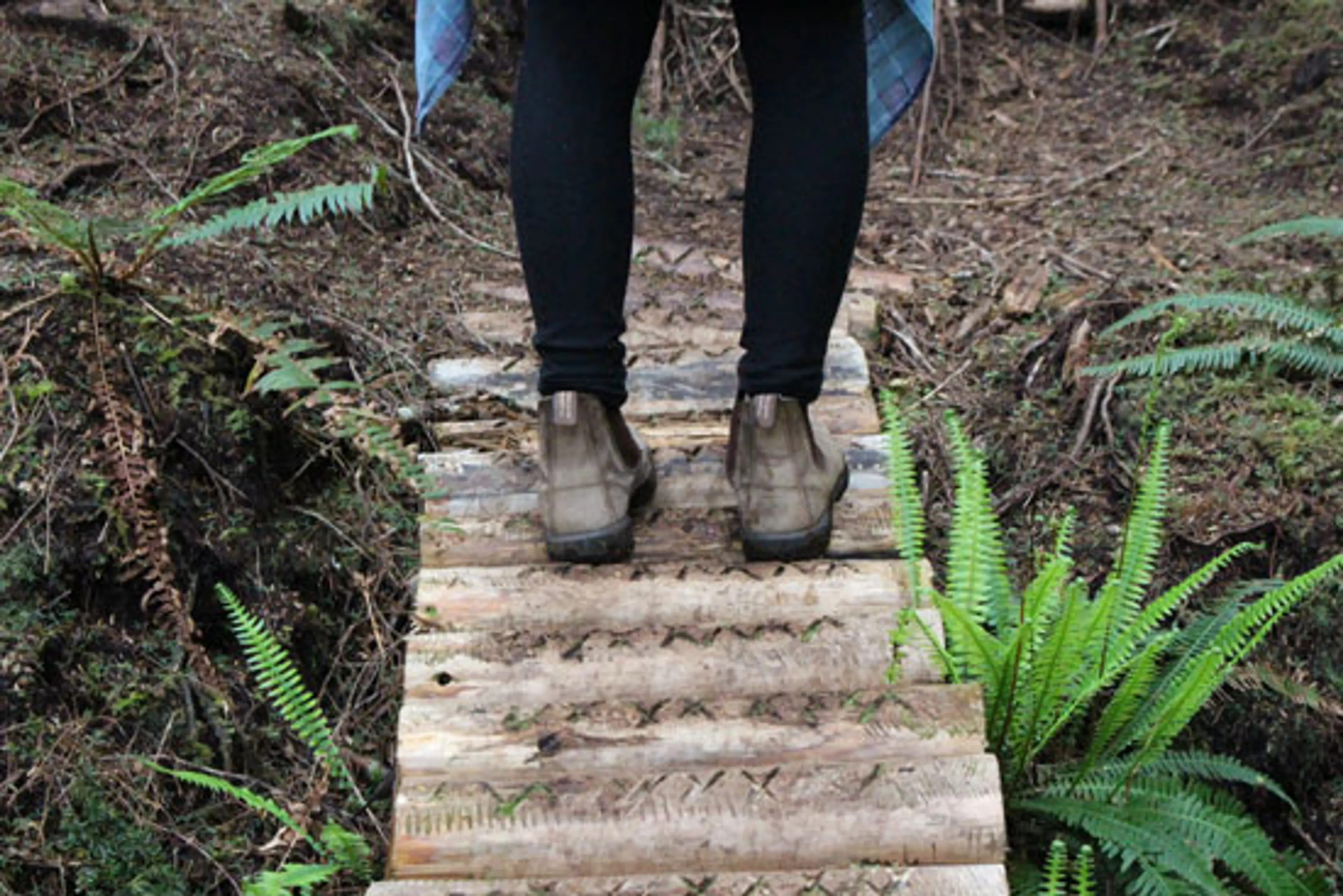 Forest Bathing – Vancouver Style