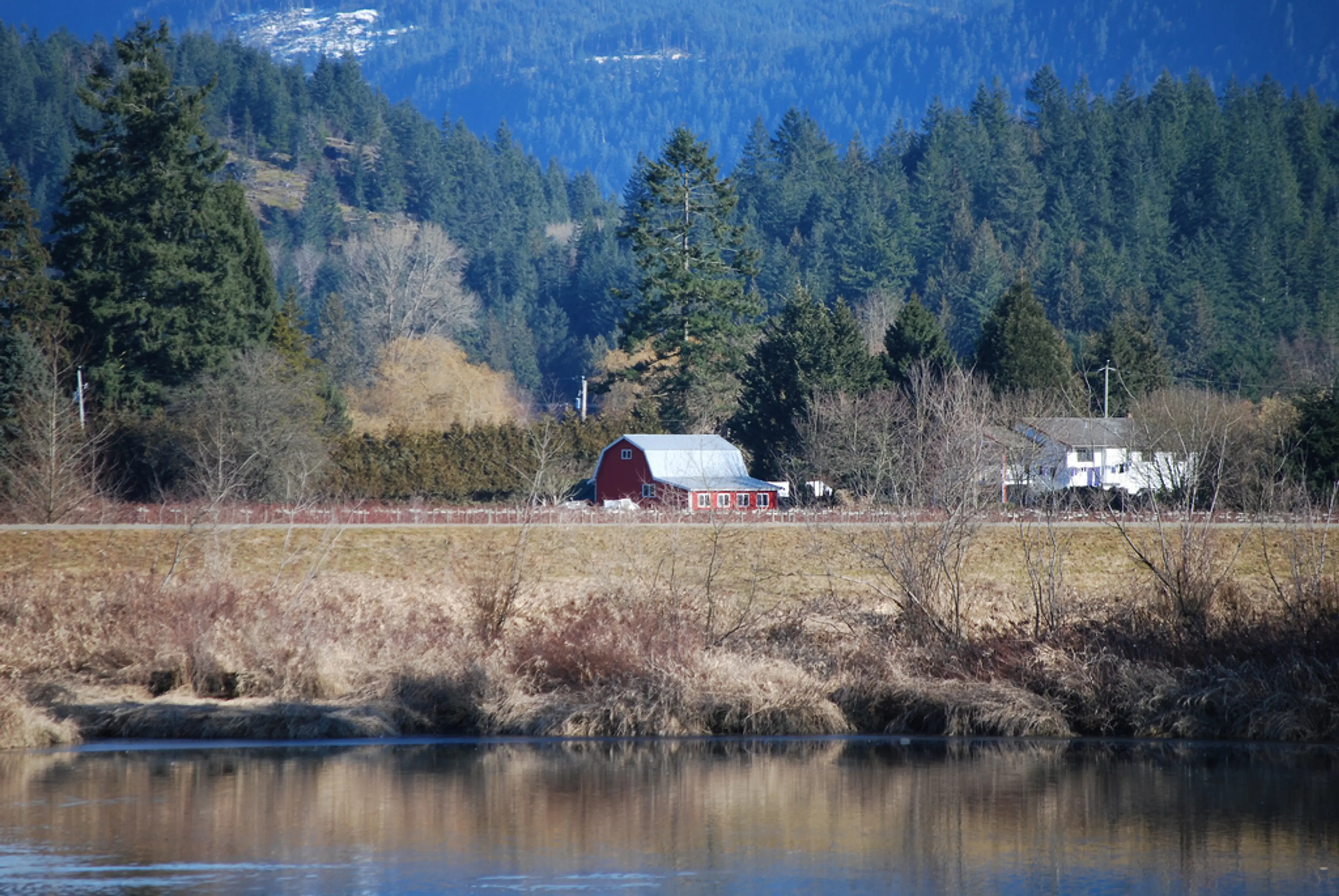 Pitt Meadows