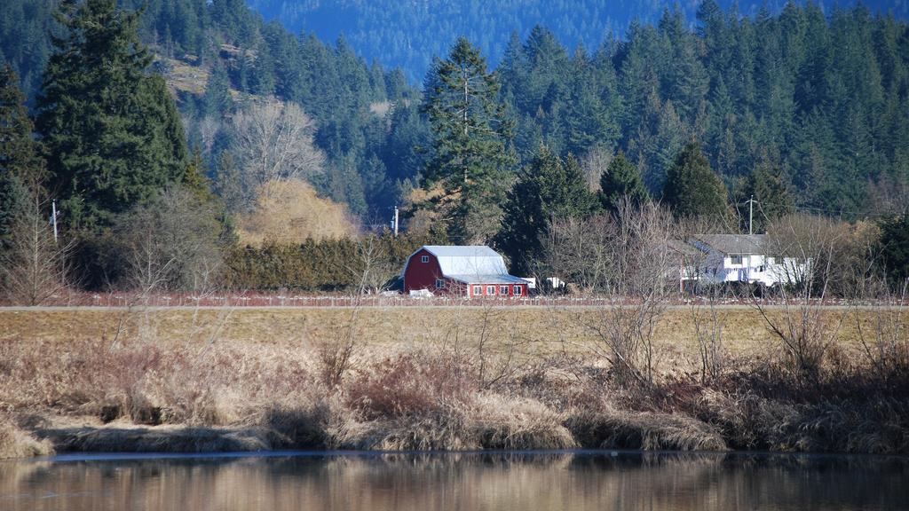 Pitt Meadows