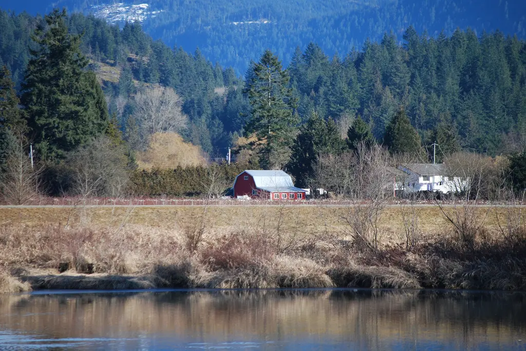 Pitt Meadows