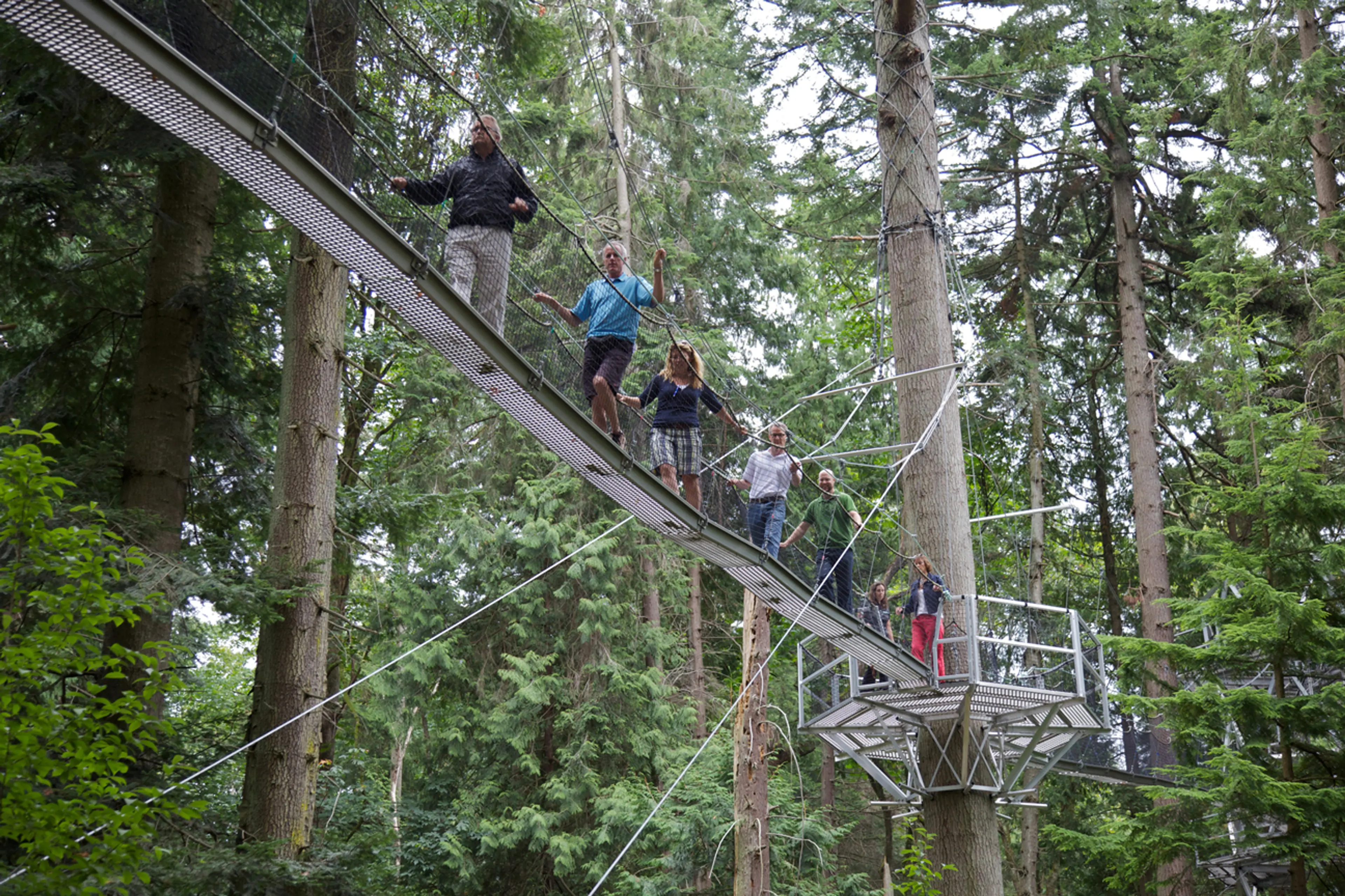 People walk on an elevated bridge at the Greenheart Treewalk at the UBC Botanical Garden in Vancouver