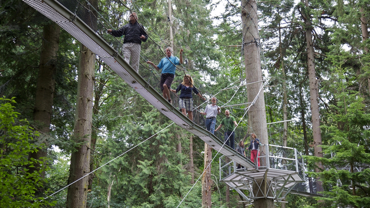 People walk on an elevated bridge at the Greenheart Treewalk at the UBC Botanical Garden in Vancouver