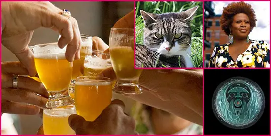 Things to Do this Weekend in Vancouver: May 25, 2017