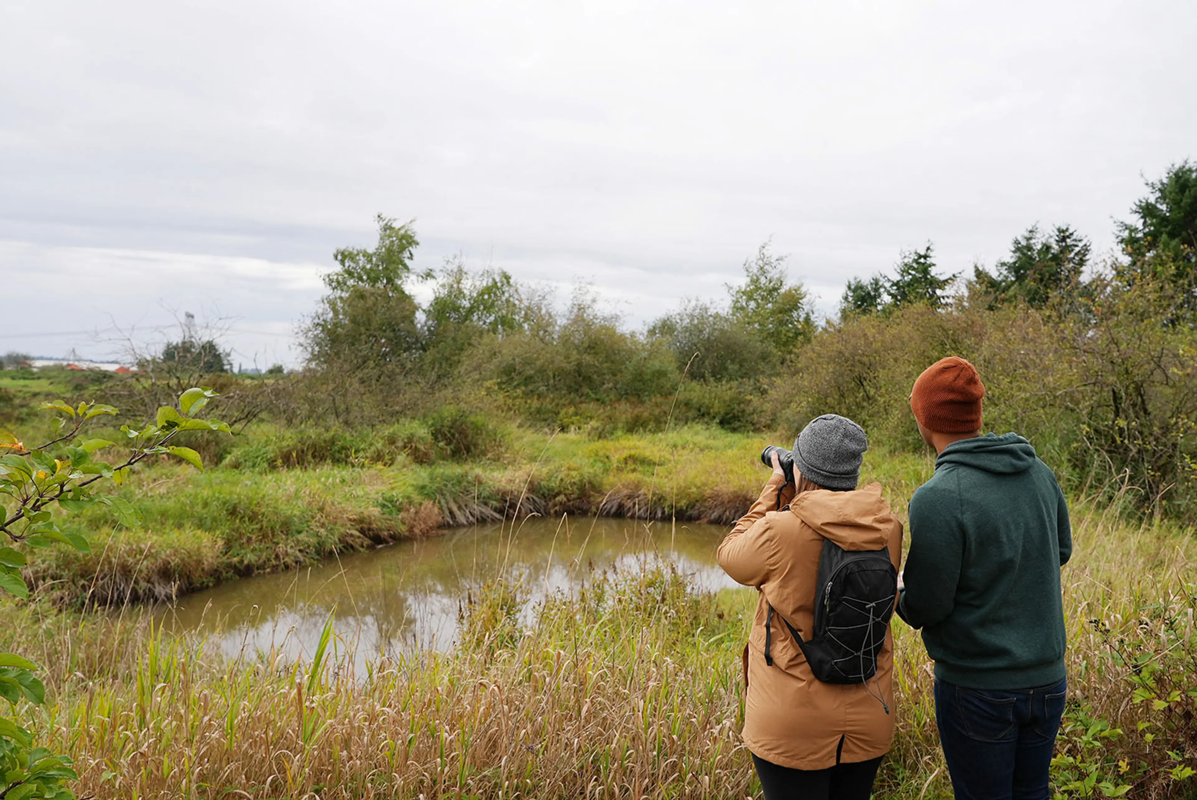 Bird-watching at Serpentine Fen in Surrey