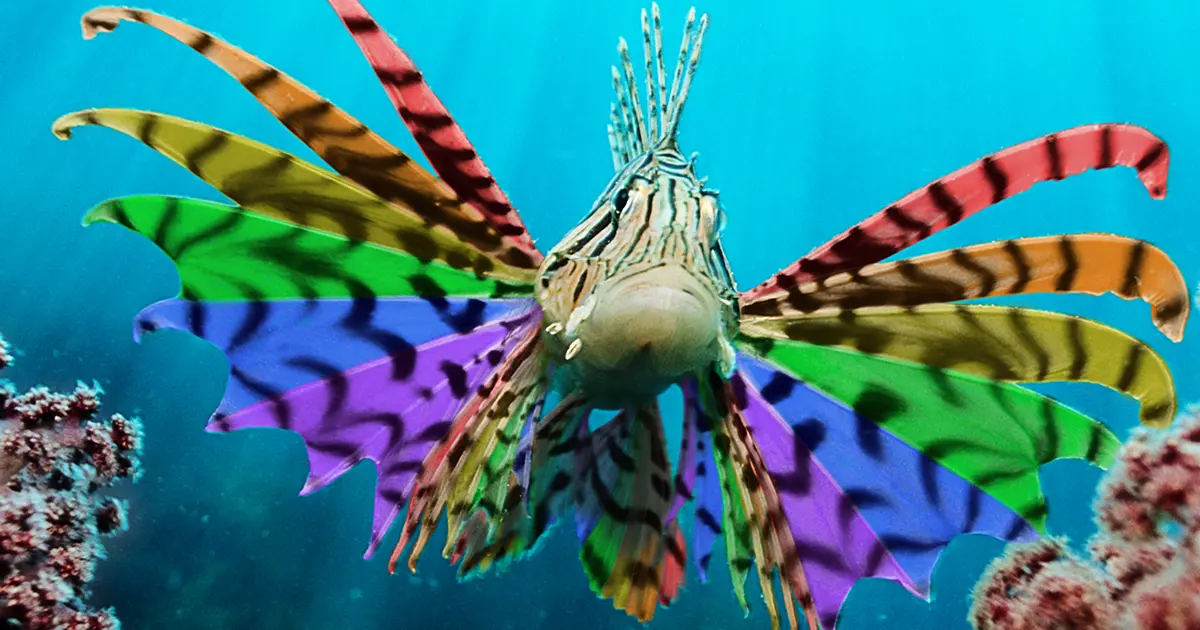 You Better Work, Fish! Celebrate Pride at Vancouver Aquarium’s After Hours