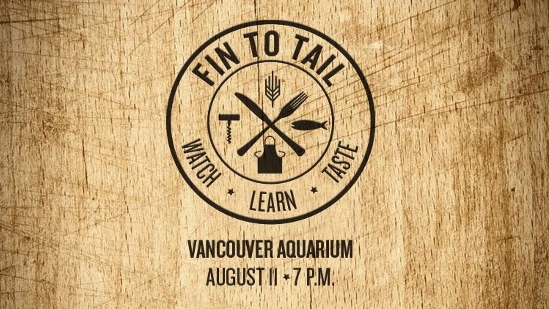 fin-to-tail