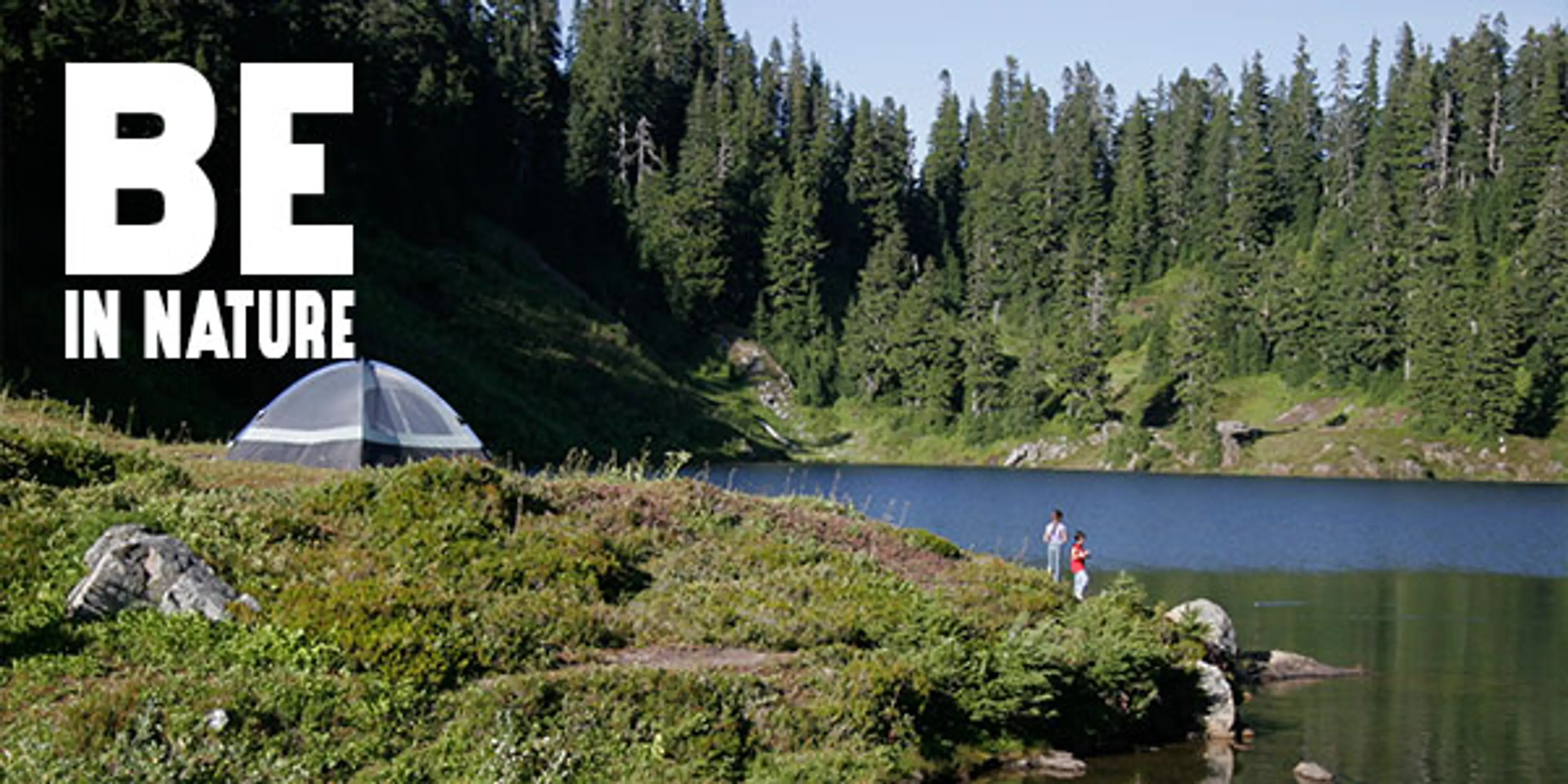 Whatcom County