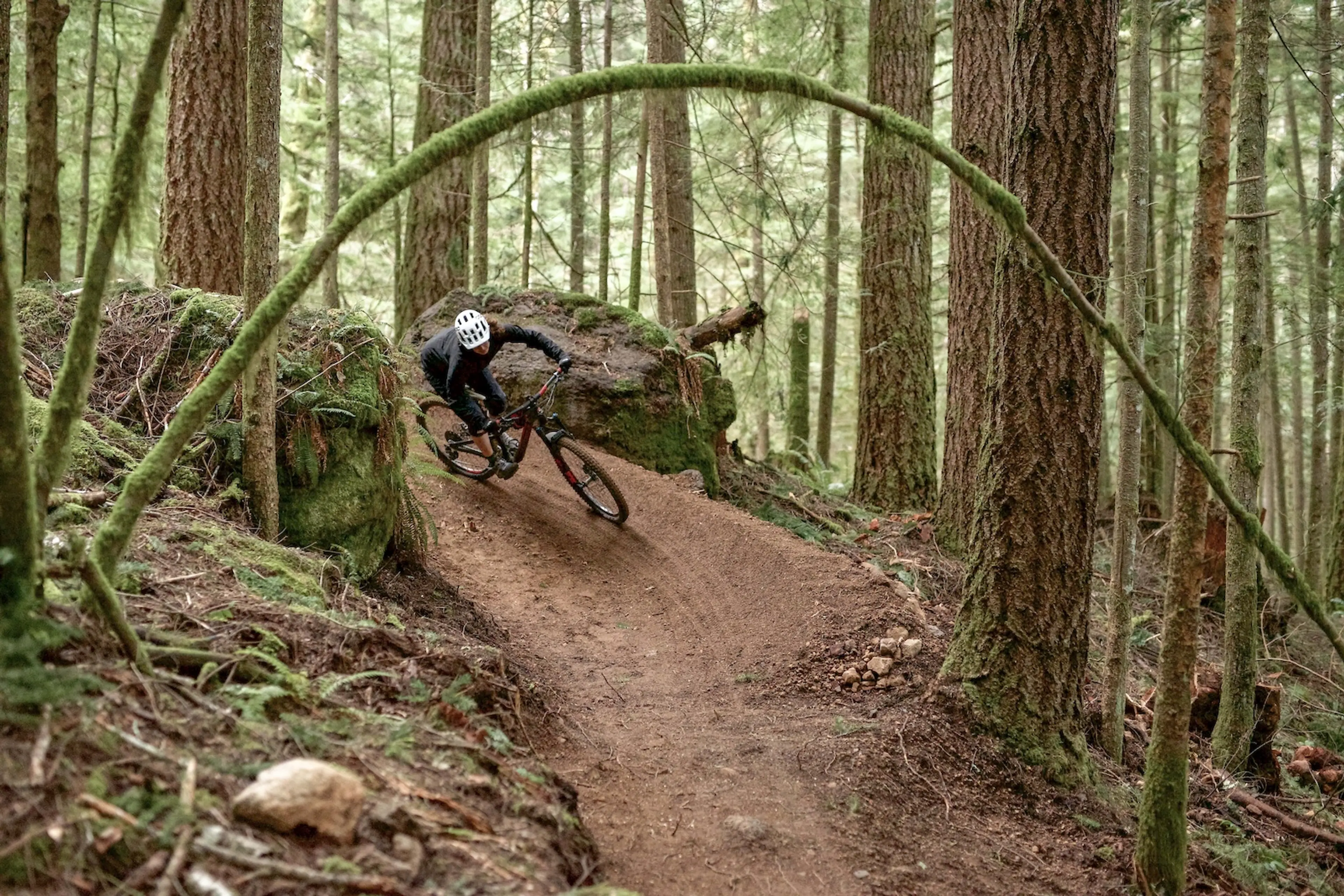A mountain biker on the Pamplemousse Trail in Alice Lake Provincial Park in Squamish