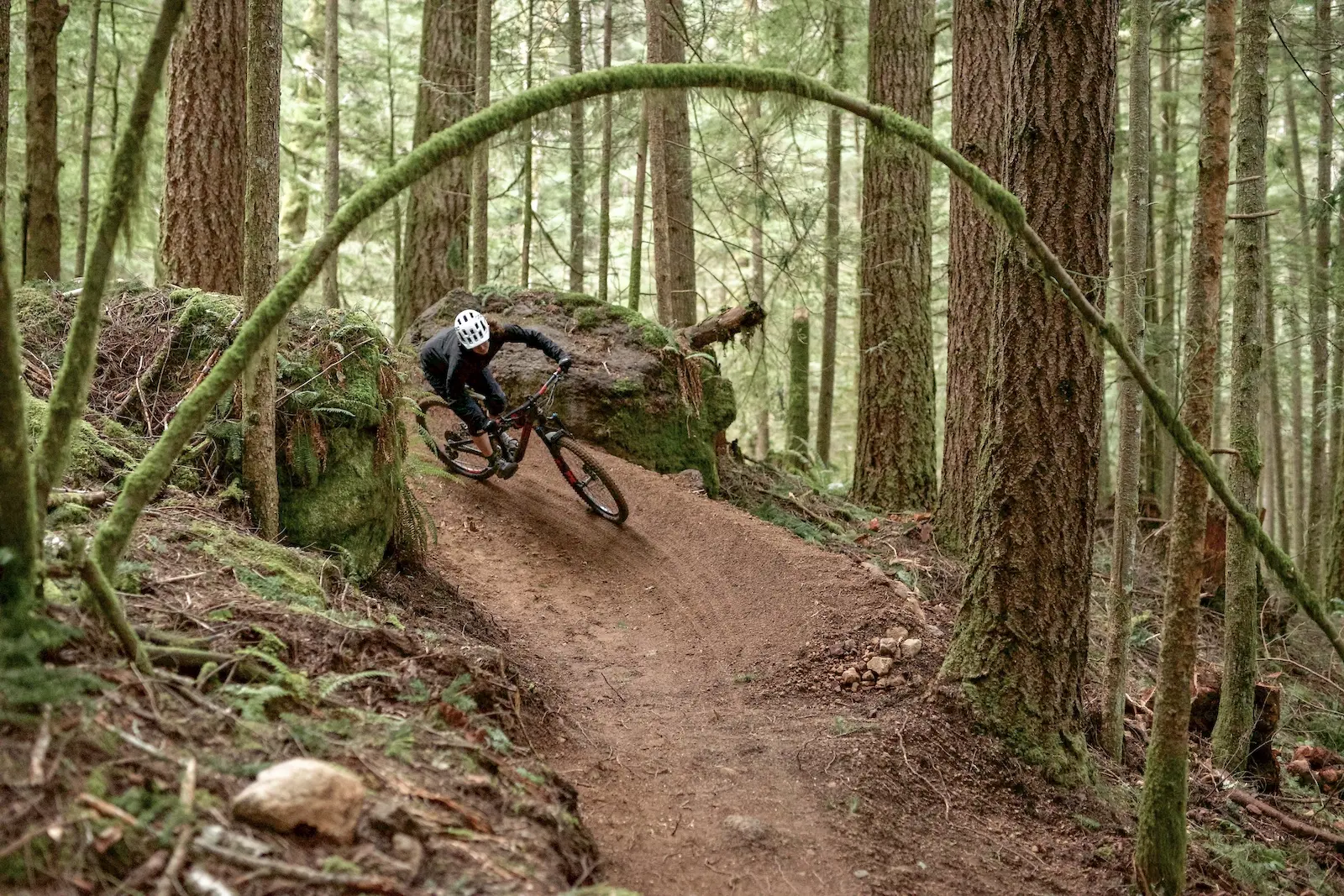 A mountain biker on the Pamplemousse Trail in Alice Lake Provincial Park in Squamish