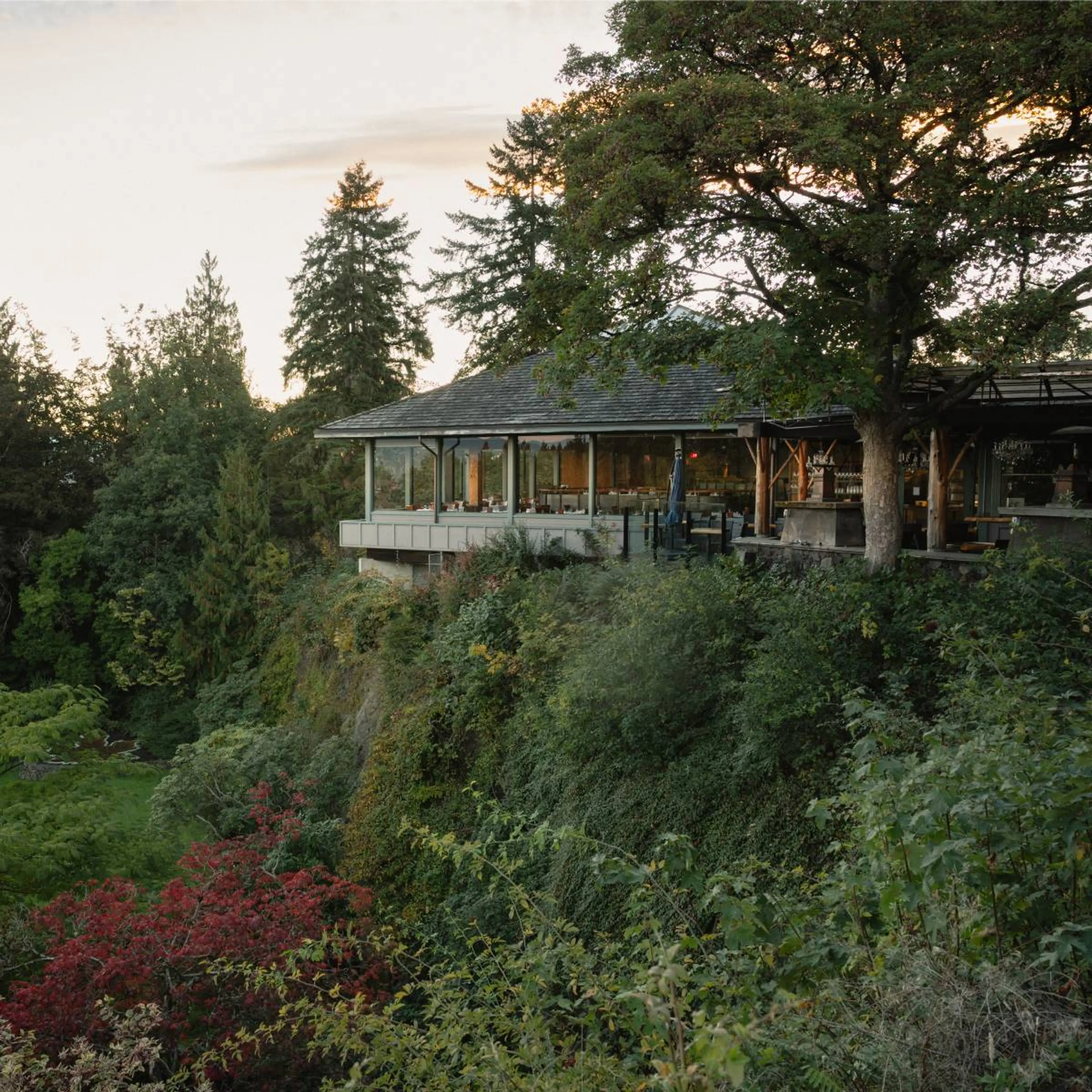 Restaurant with large windows and outdoor seating on a cliff surrounded by dense green trees and foliage.
