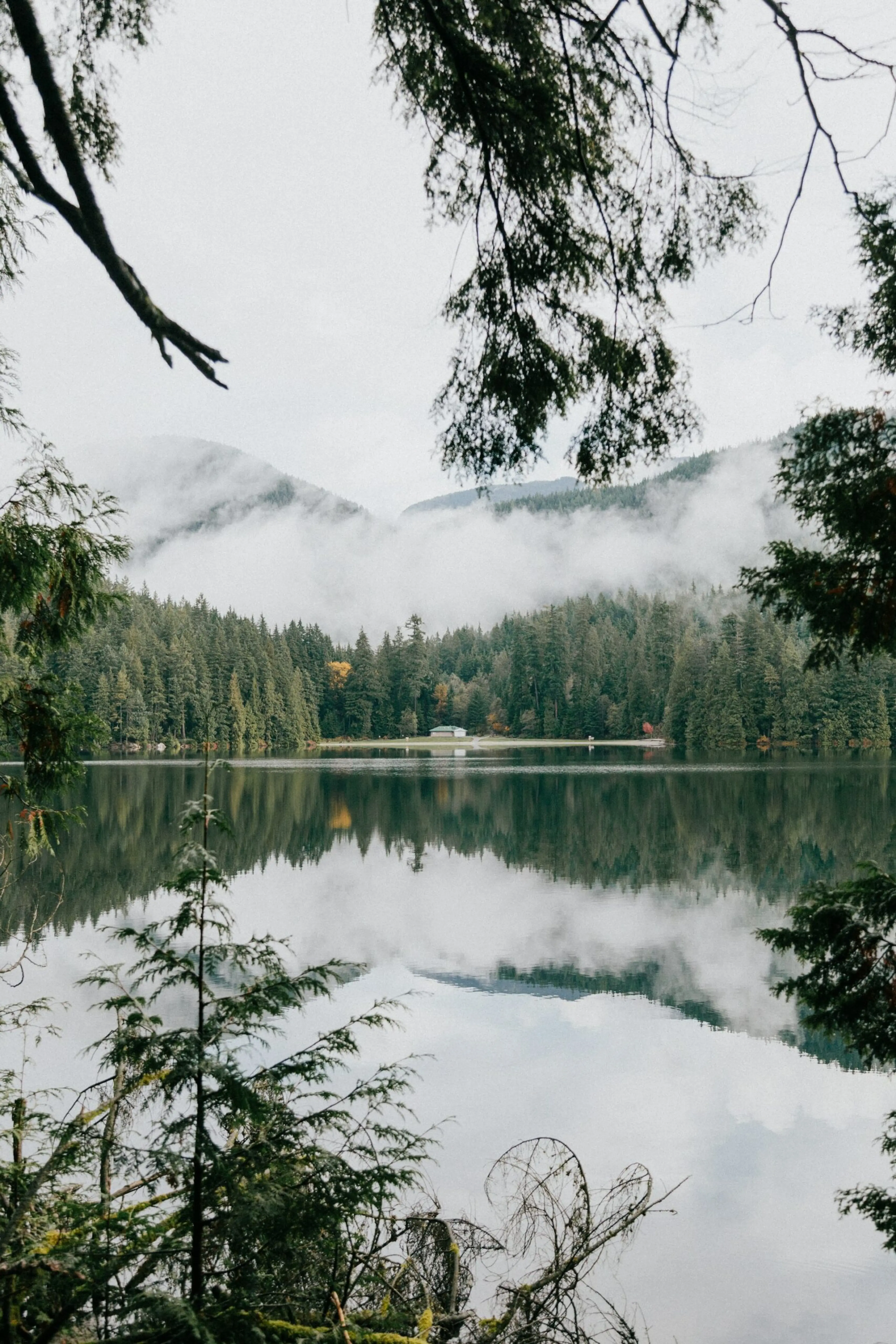 View through the trees of Sasamat Lake