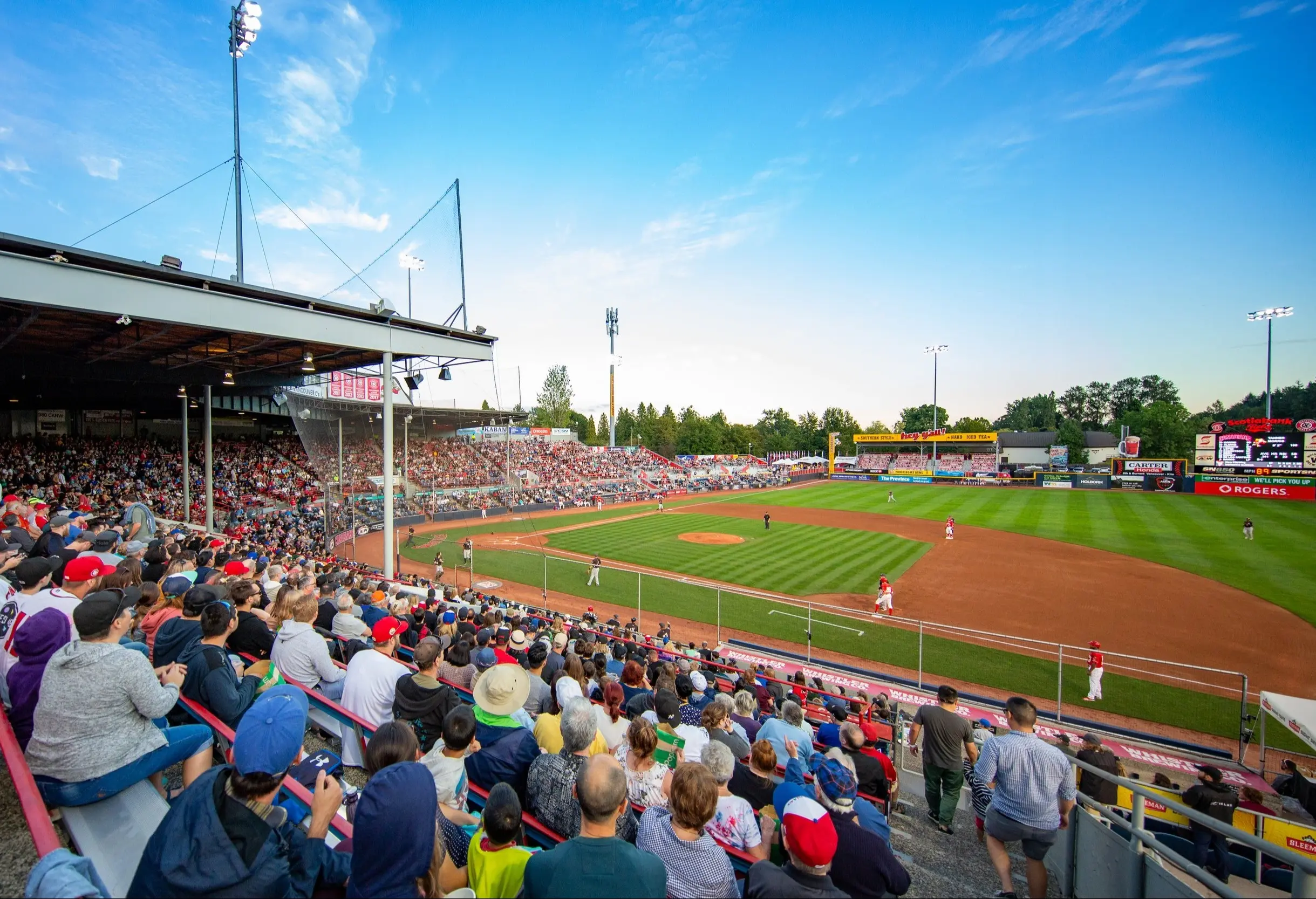 w-2500h-1667-e37fd4-canadians-august-24b-(274-of-315)-(2)