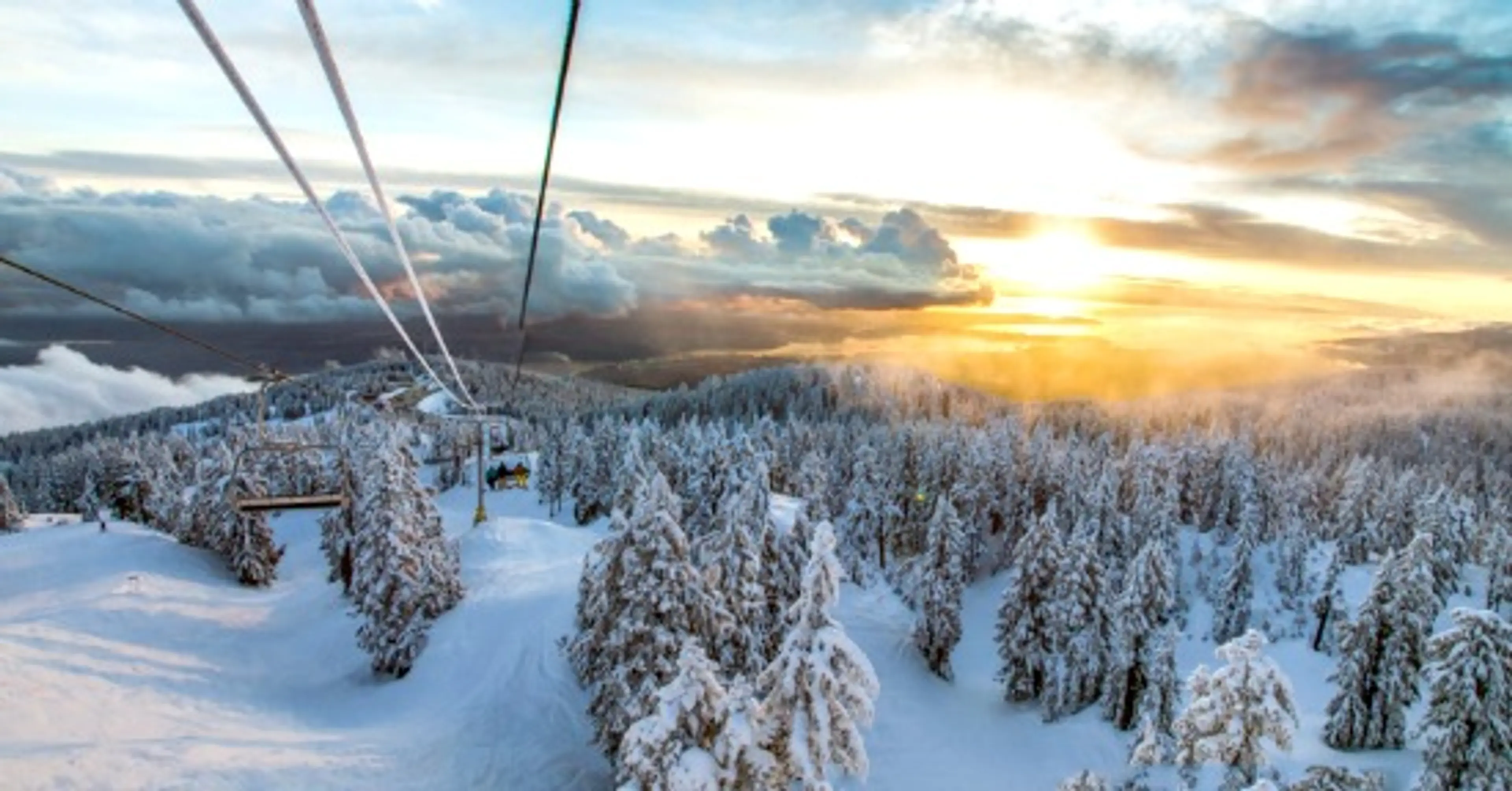 Kids In Vancouver: Slide Down the Slopes of Mount Seymour