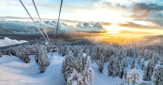 Kids In Vancouver: Slide Down the Slopes of Mount Seymour
