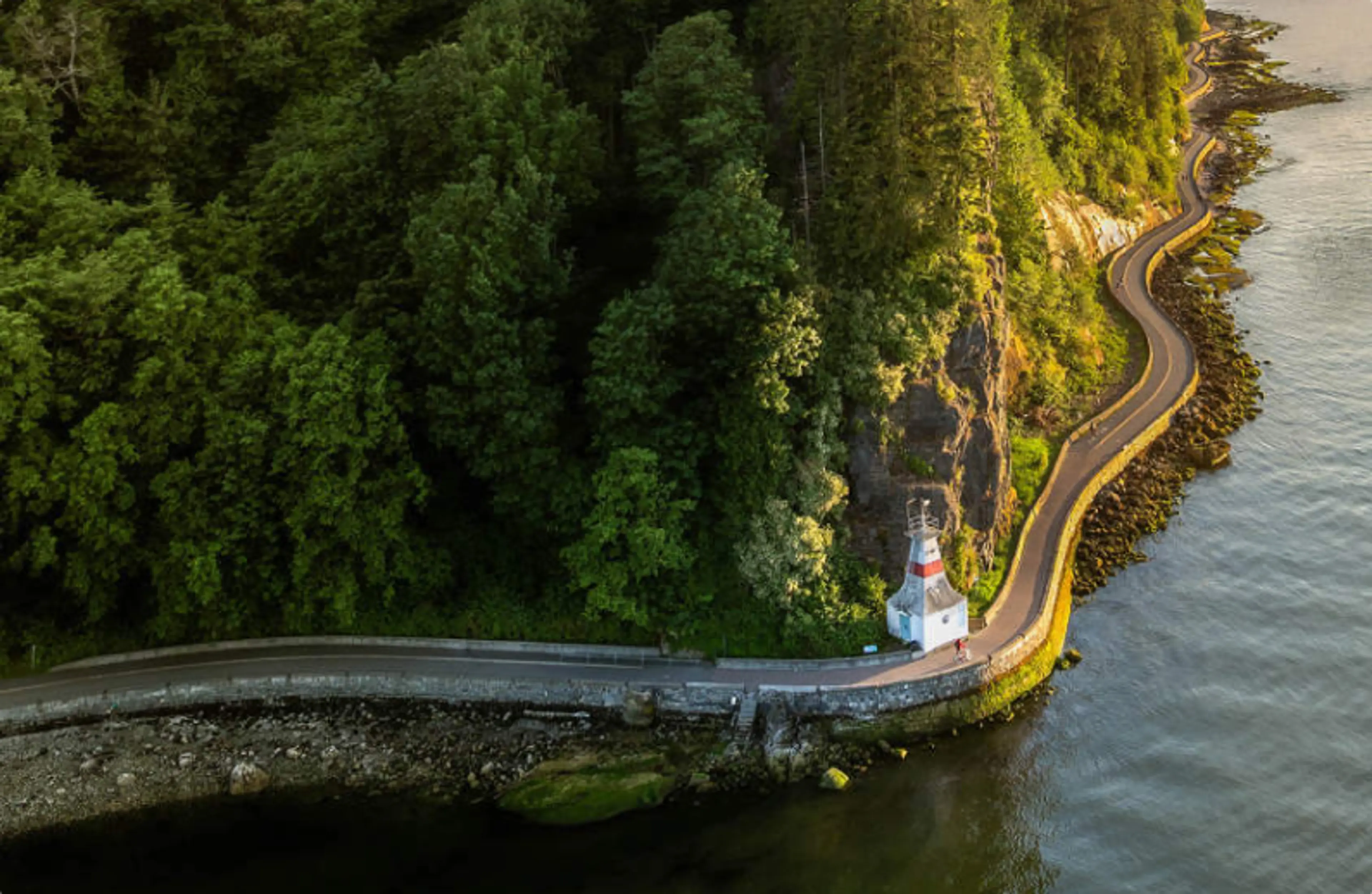  Gemini said An aerial, high-angle view of the Stanley Park Seawall in Vancouver at sunset. A paved, winding path curves along the rocky coastline, sandwiched between a dense, lush green forest and the calm ocean water. In the center, a small white lighthouse with a red horizontal stripe (Brockton Point Lighthouse) sits at the edge of the sea wall. The warm, golden light of the setting sun illuminates the trees and the path, creating long shadows and a serene atmosphere.