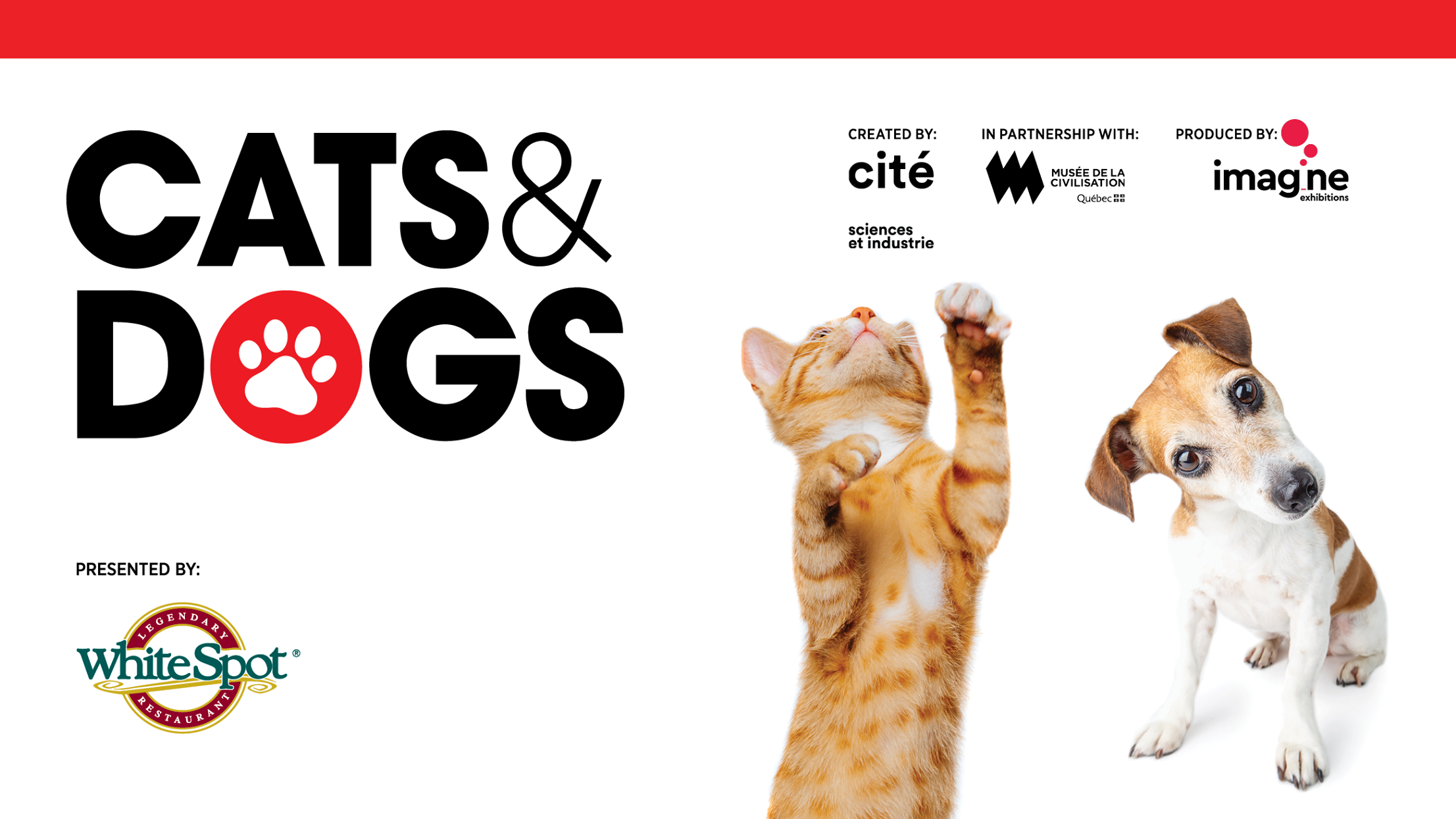 Cats and Dogs Science World