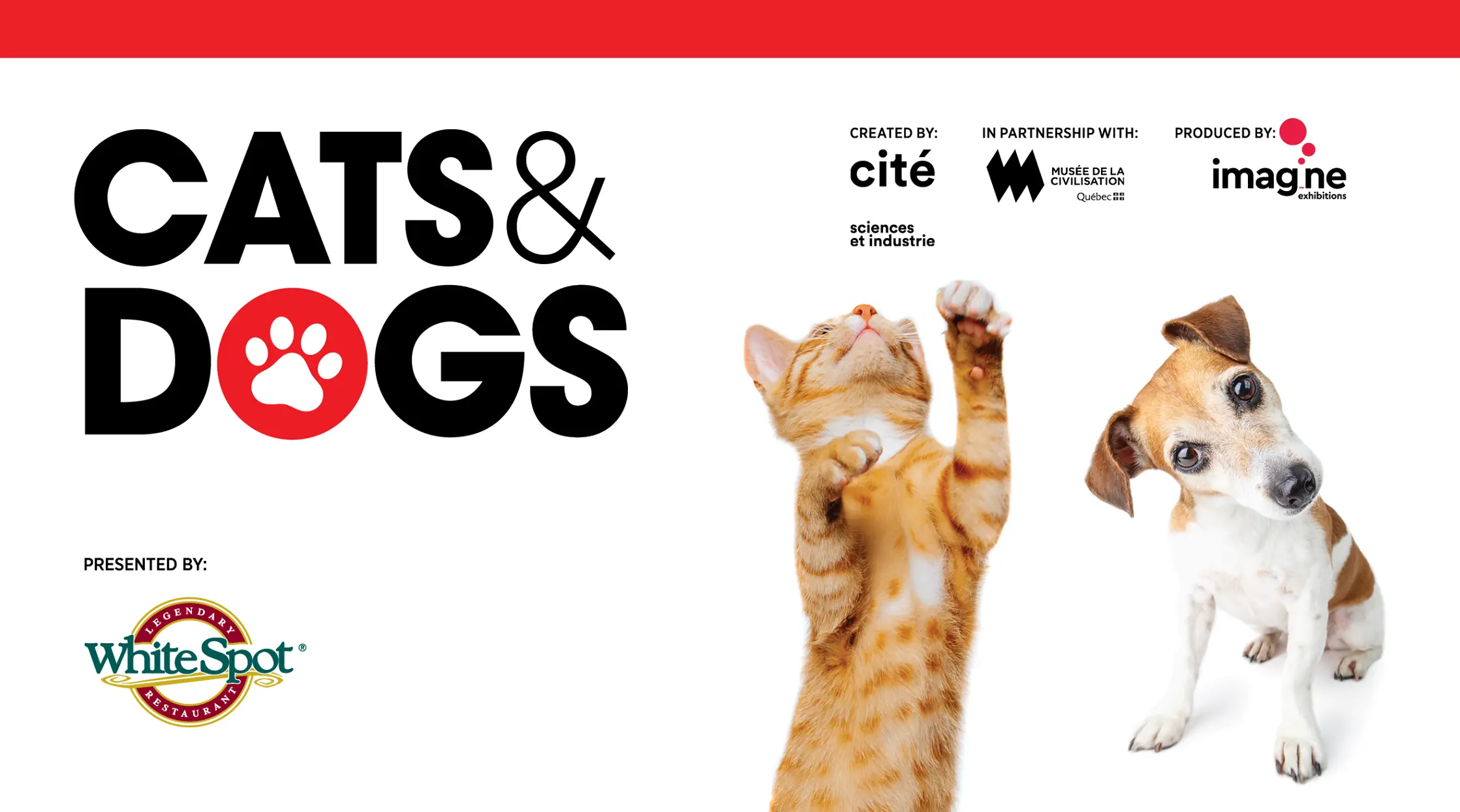 Cats and Dogs Science World