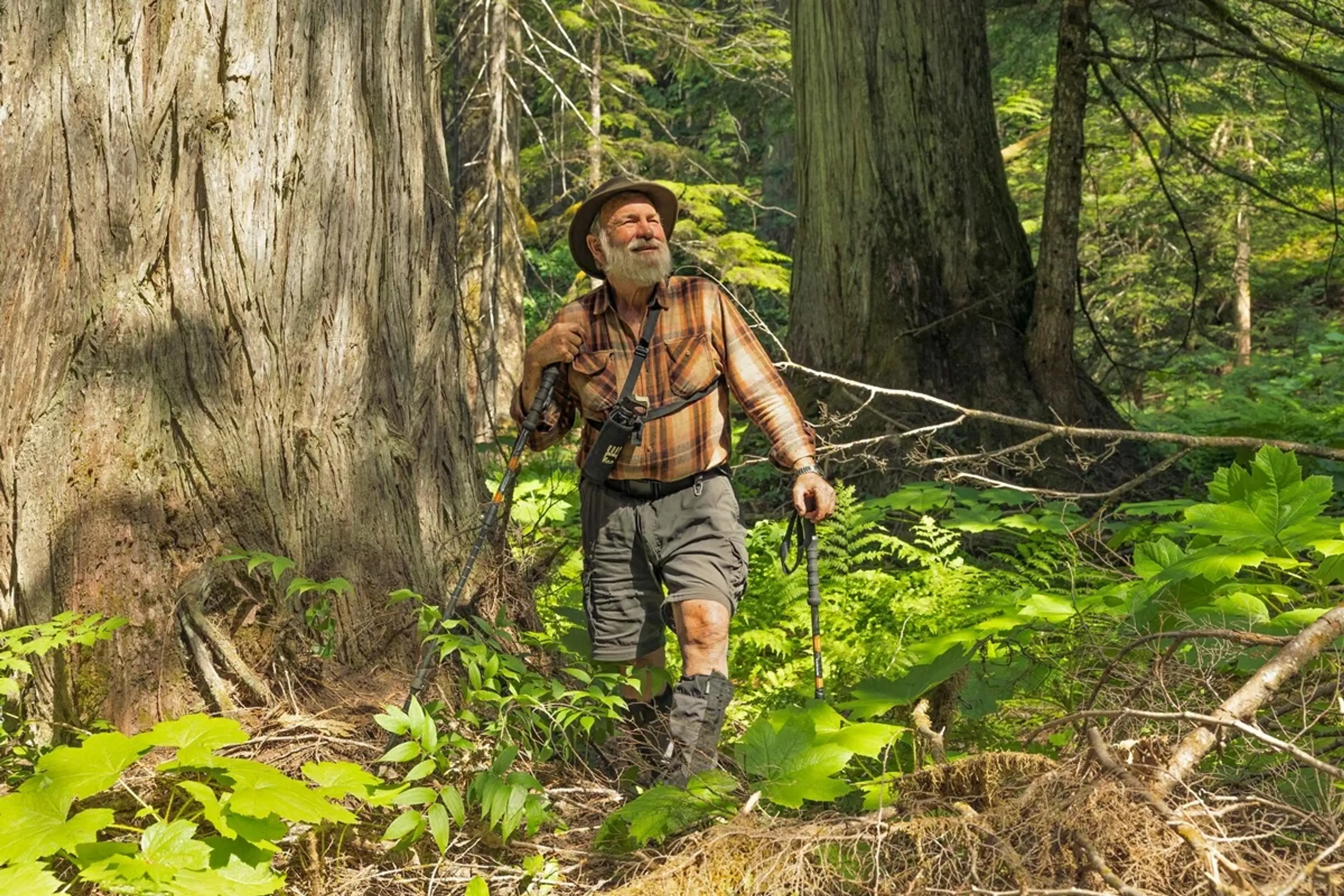 A bearded man wearing hiking clothing stands next to an old growth tree in a still from the film Safe Haven: The Rainbow-Jordan Wilderness. 