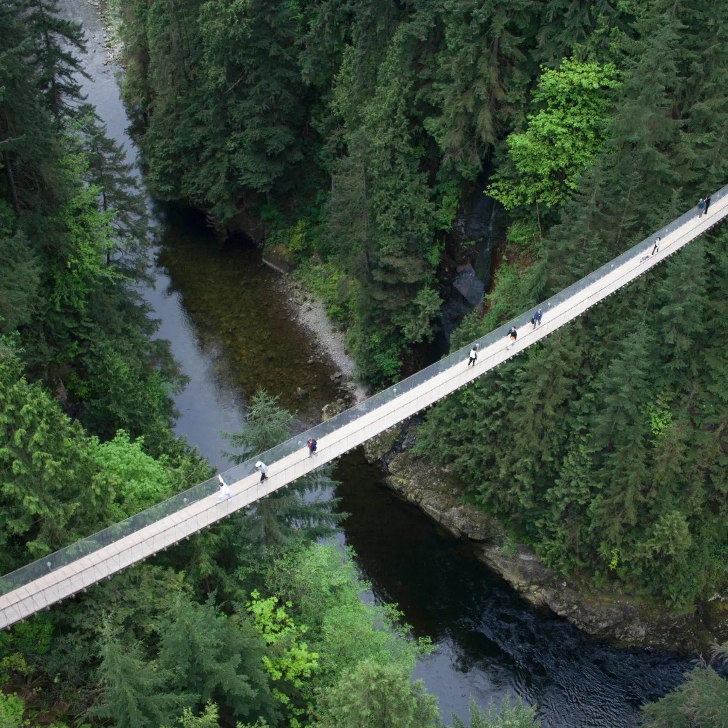Aerial view of a suspension bridge with people walking over a river surrounded by dense green forest.