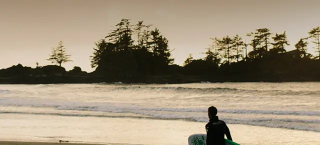 sURF