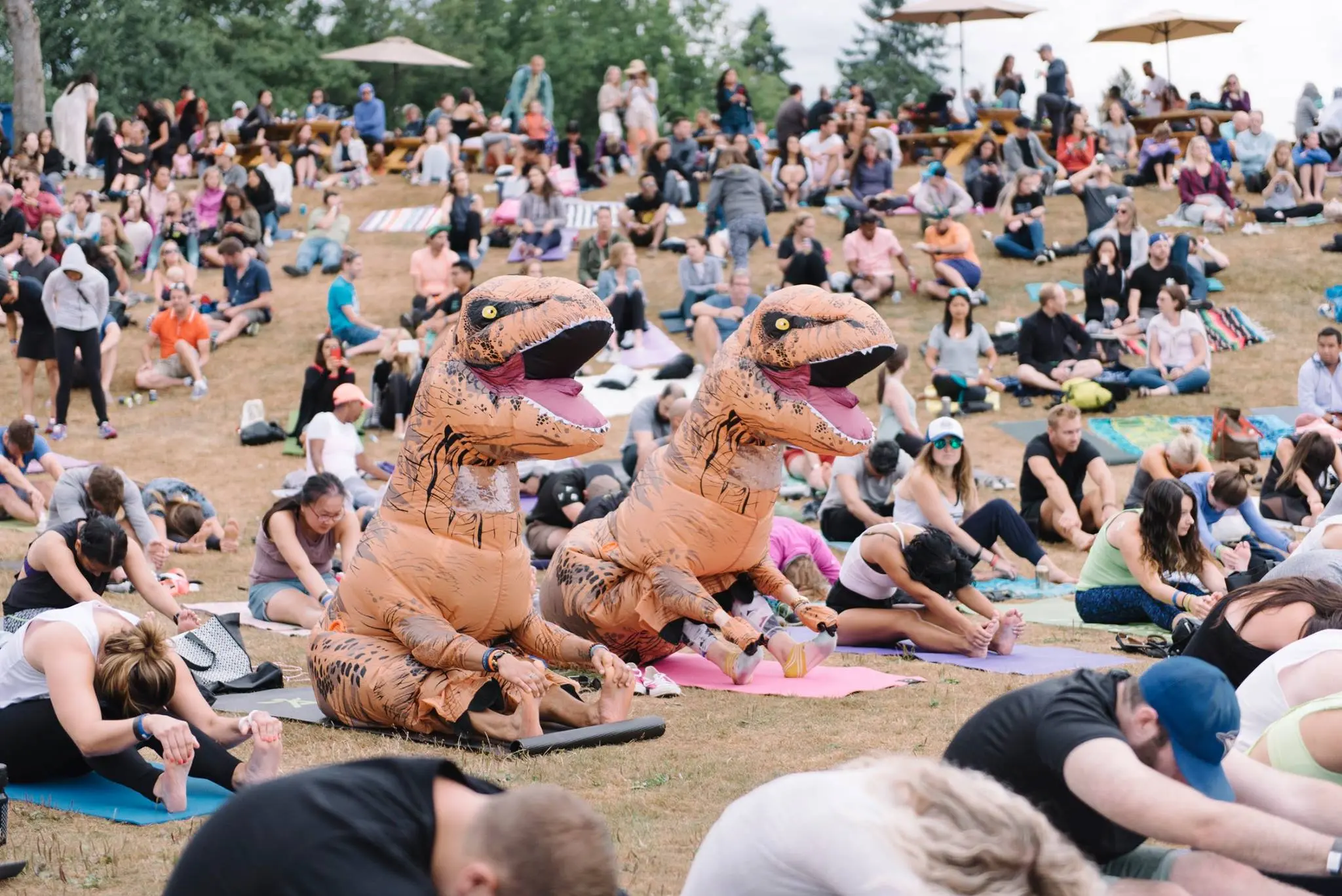 Vancouver Seawheeze Sunset Festival