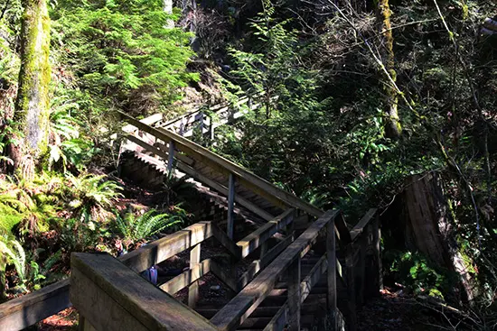 Discover-Outdoors-Lynn-Canyon3