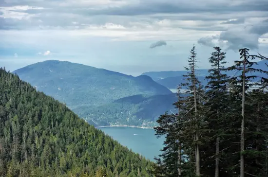 Hike St Marks Discover Outdoors5