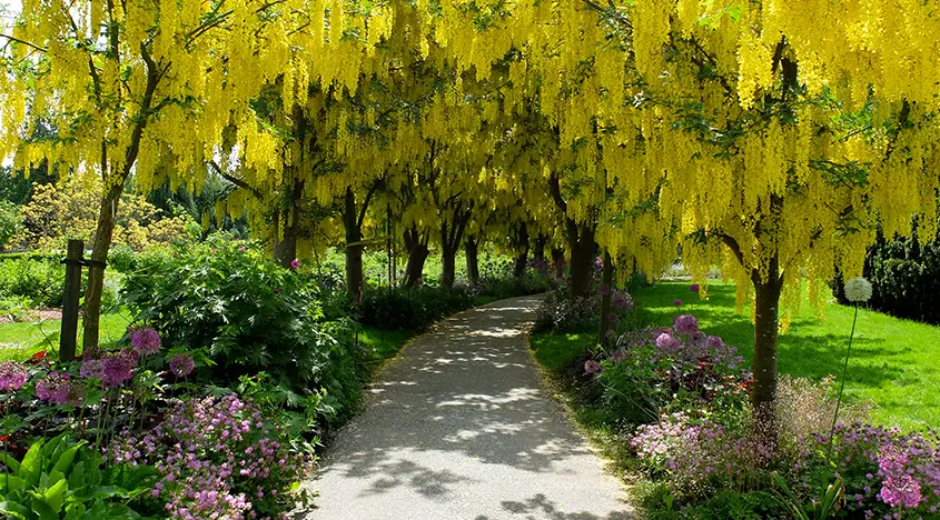 Film Venue Spotlight: VanDusen Botanical Garden