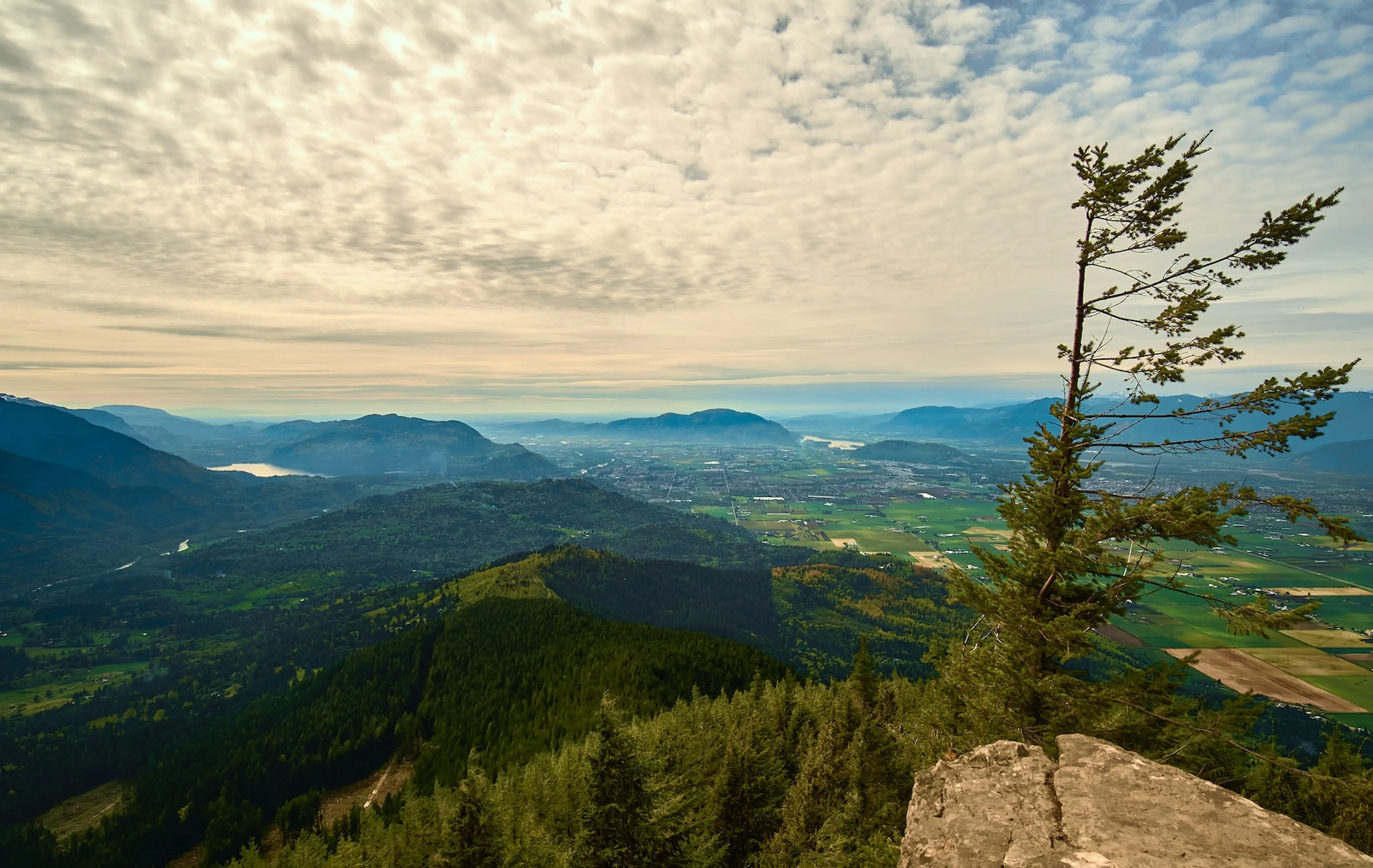 The view from Elk Mountain in Chilliwack