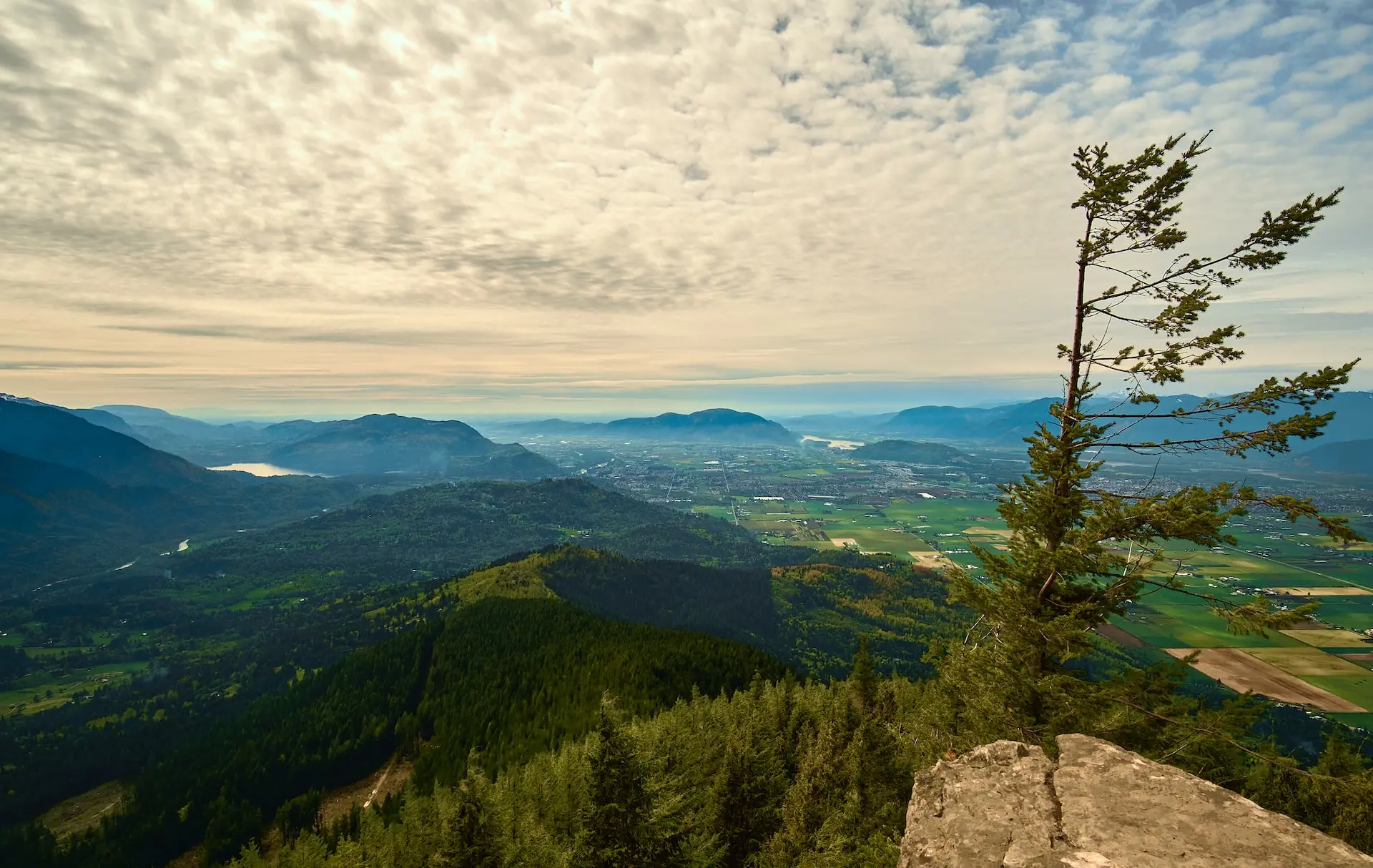 The view from Elk Mountain in Chilliwack