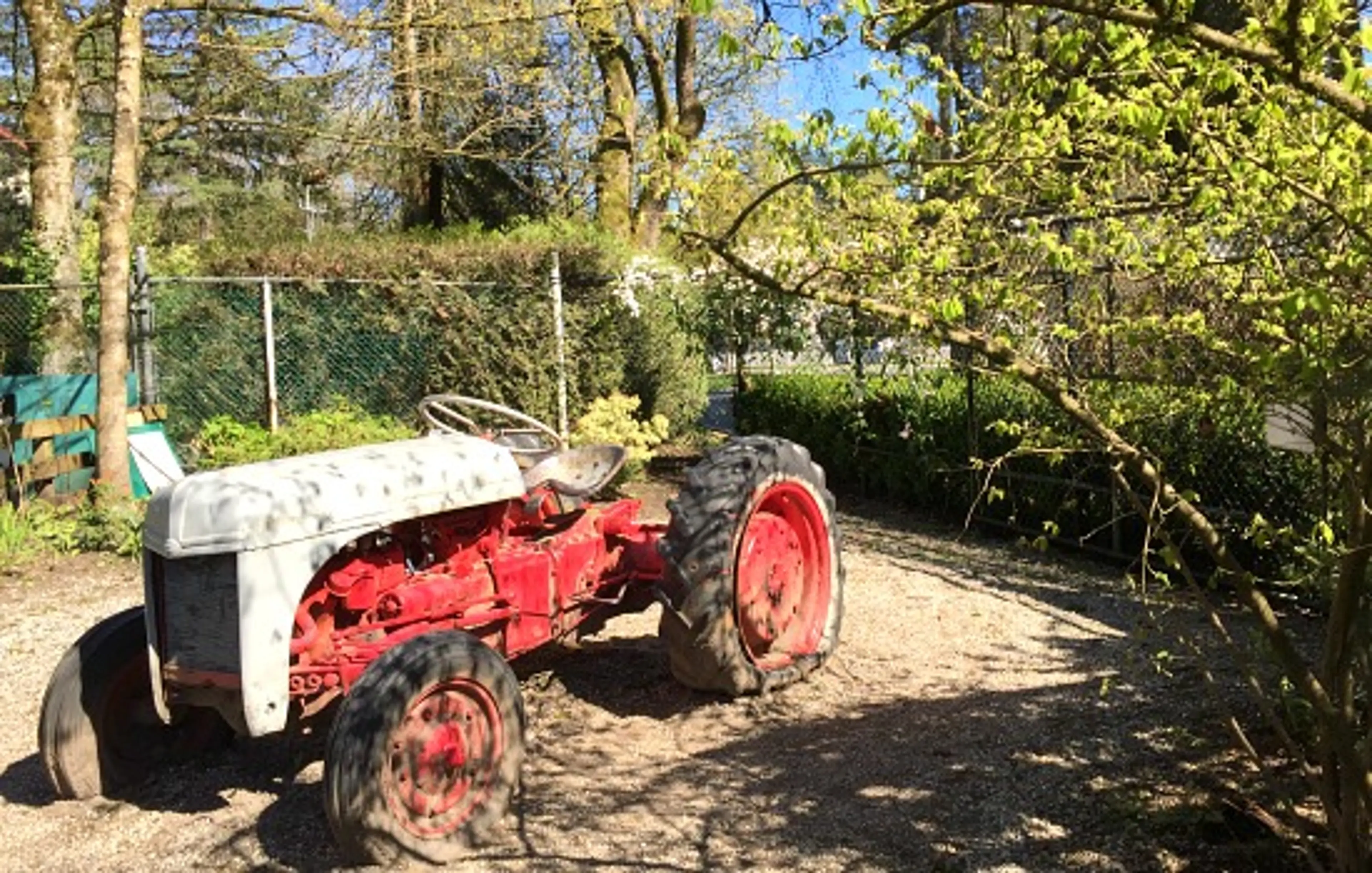 The Red Tractor At Maplewood Farm | Photo: Bianca Bujan